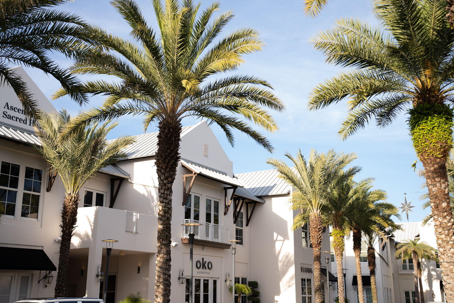 34 W Majestic Palm Drive