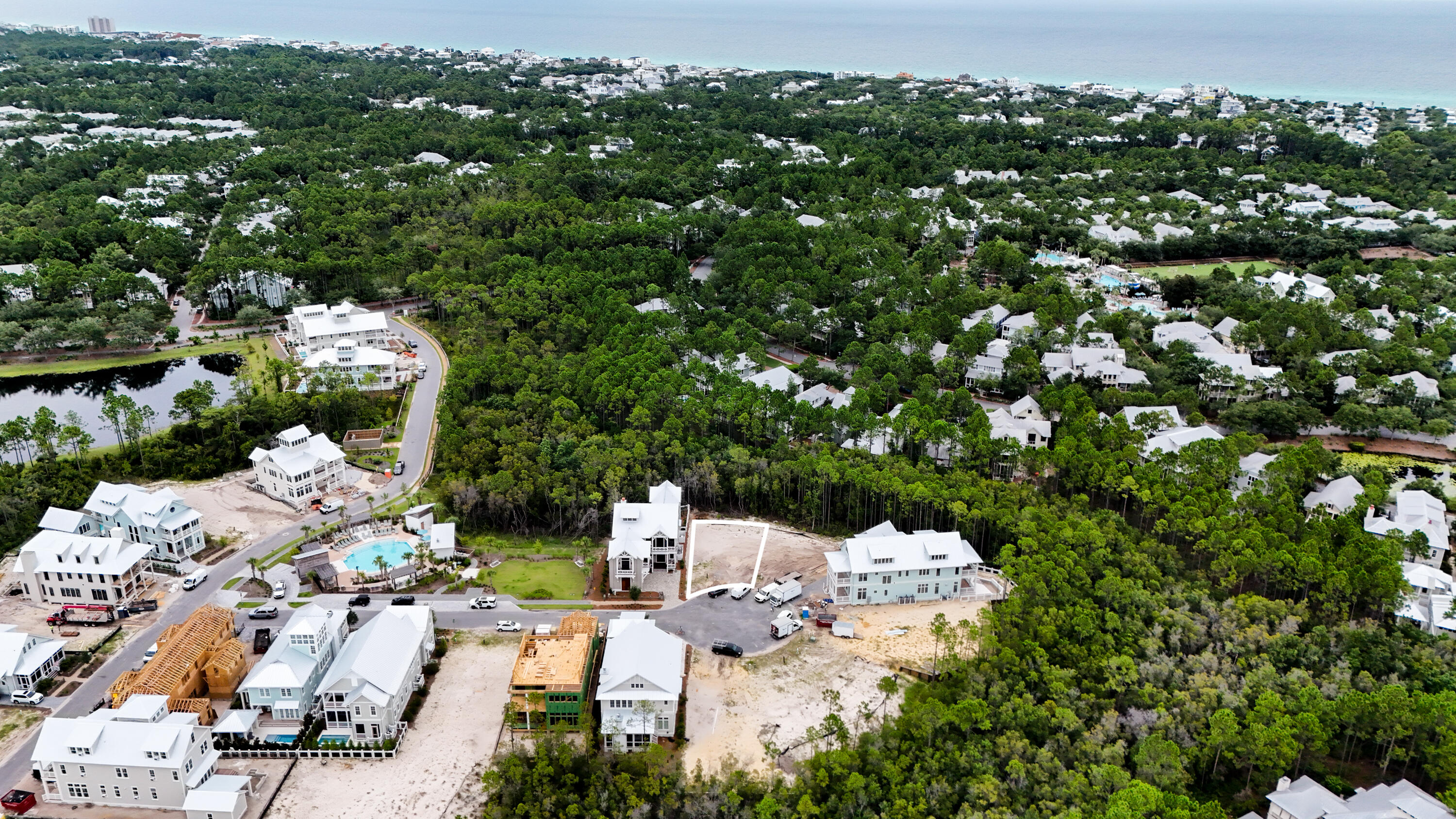 40 String Lily Cove Cove
