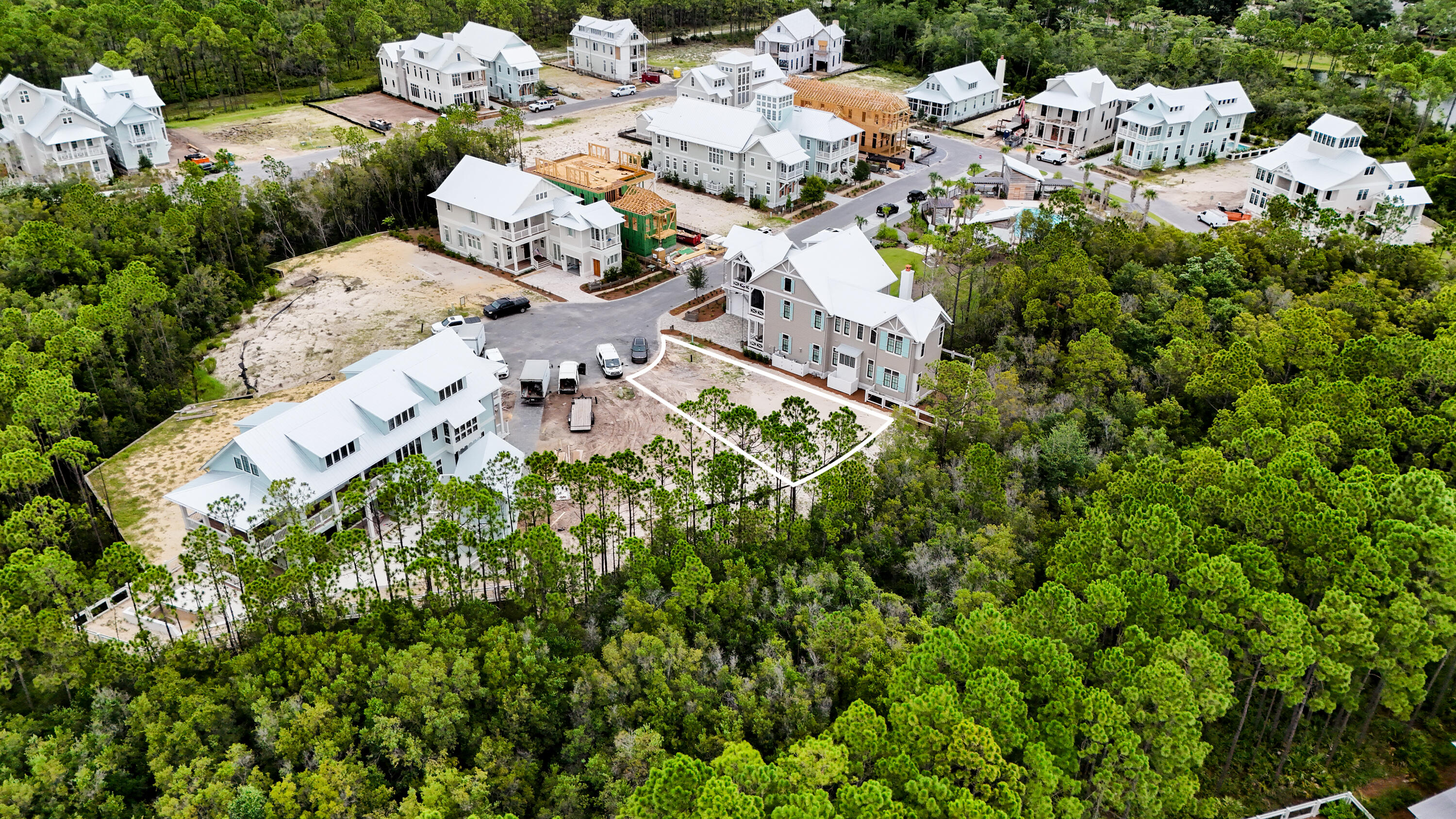40 String Lily Cove Cove