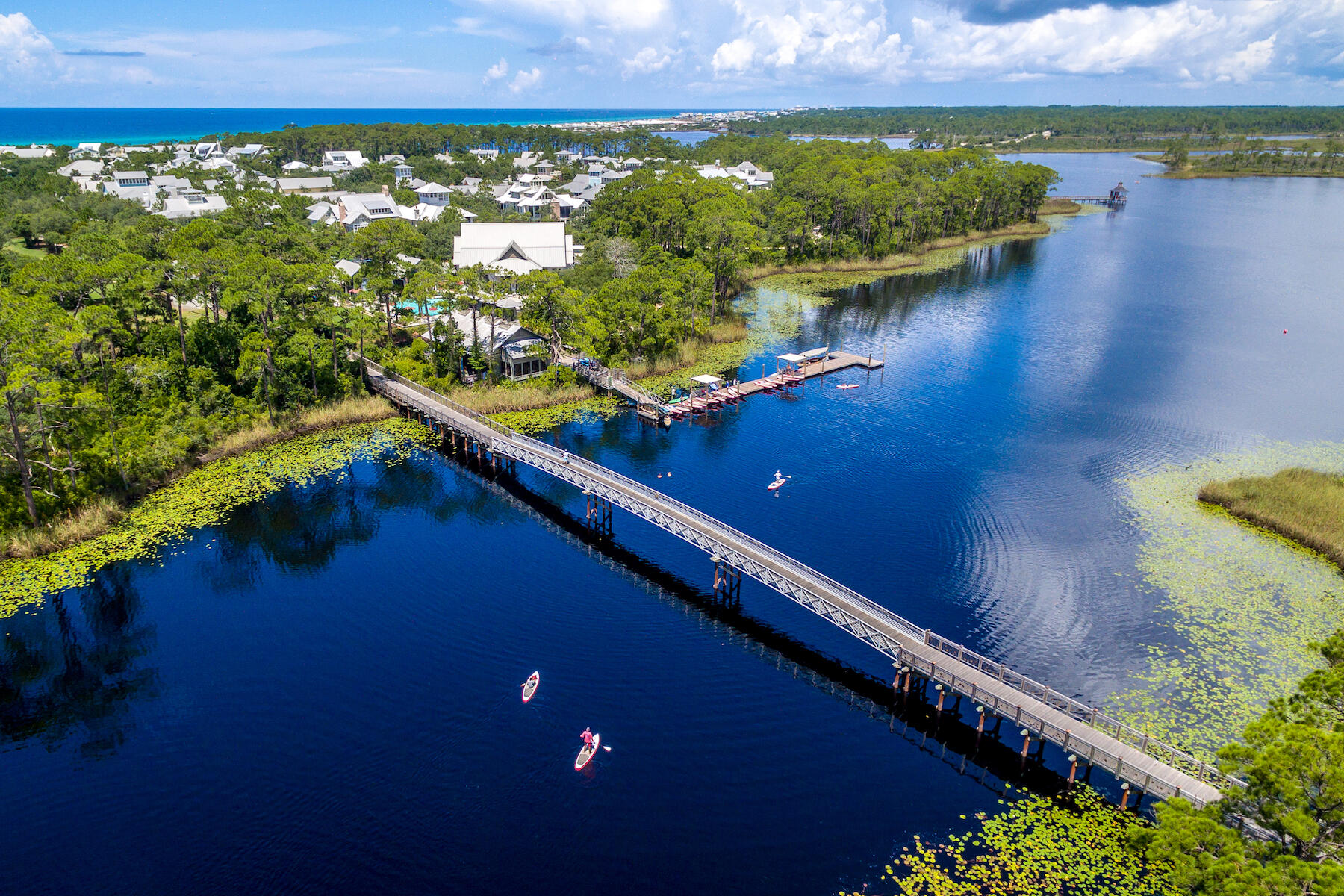 40 String Lily Cove Cove