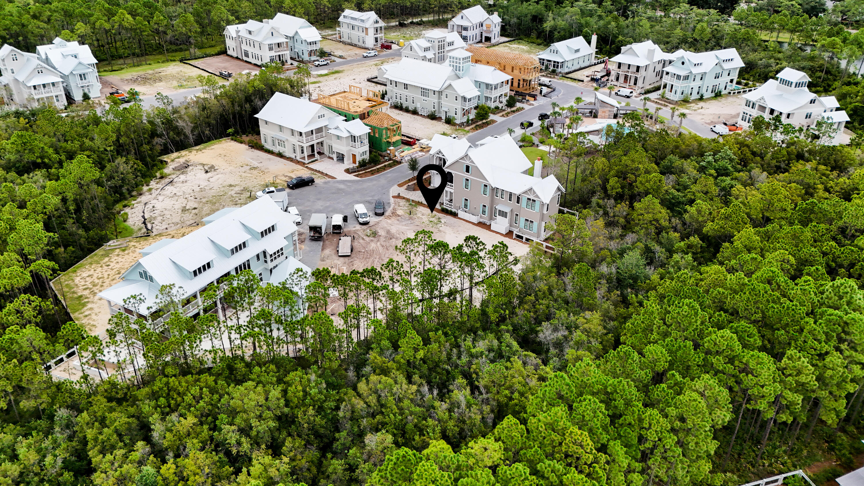 40 String Lily Cove Cove