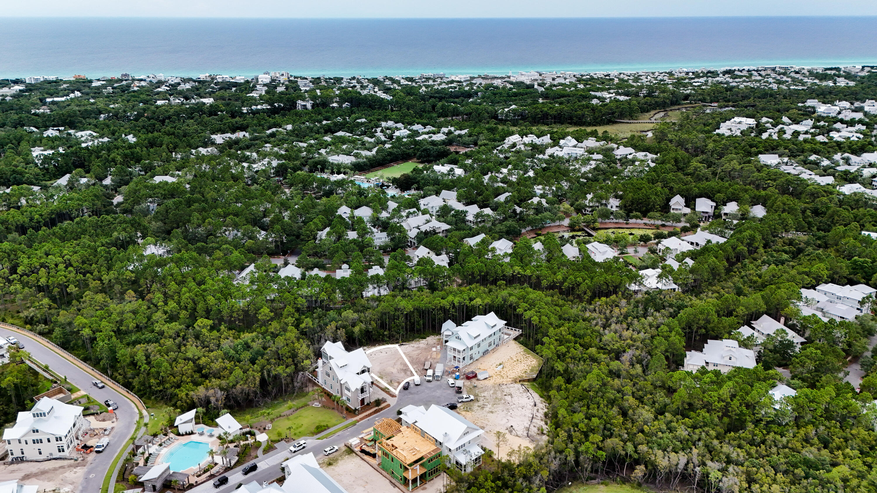 40 String Lily Cove Cove