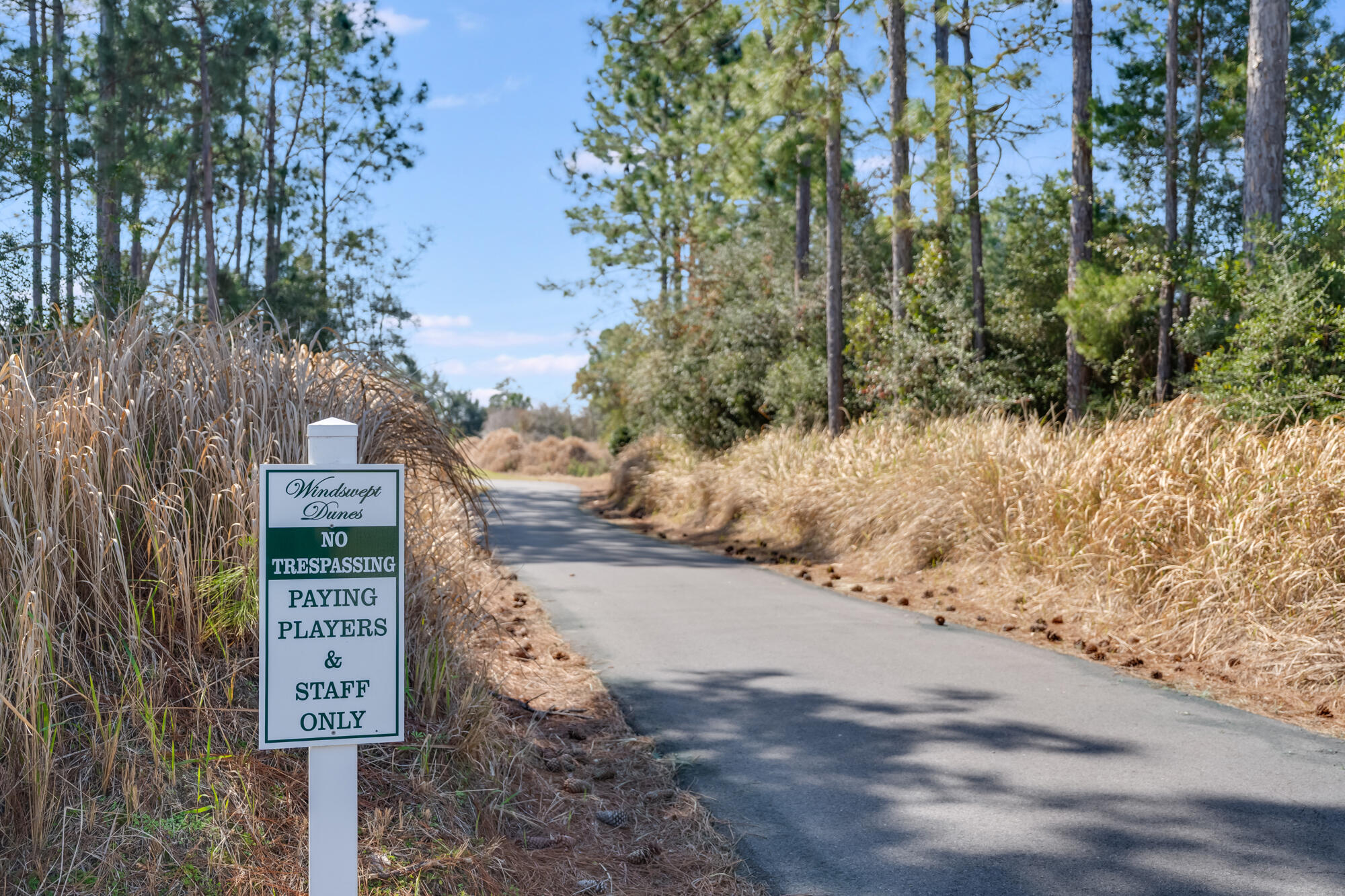 1585 Brushed Dunes Circle