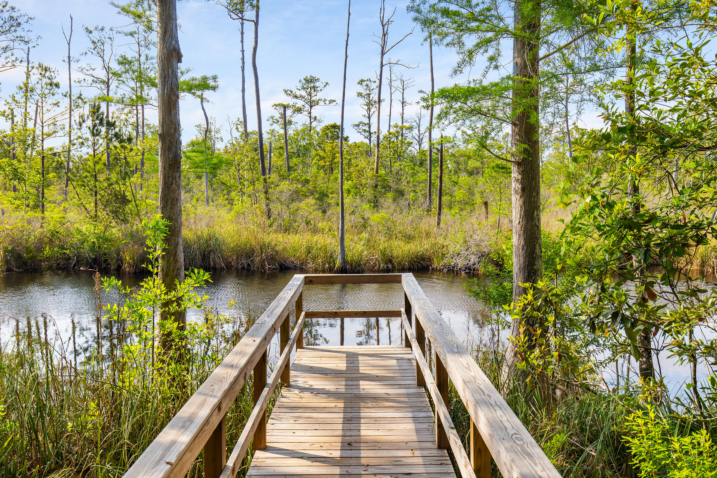 335 J Hunter's Way S