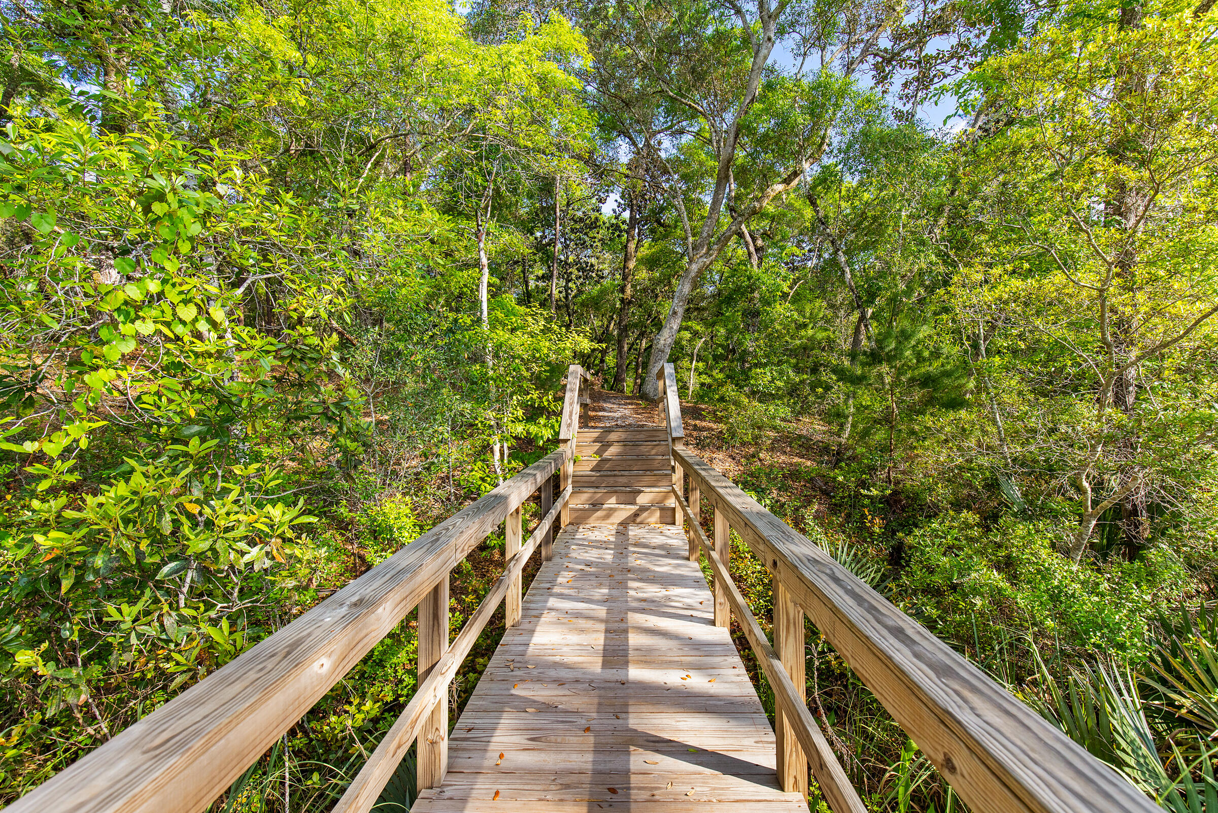 335 J Hunter's Way S