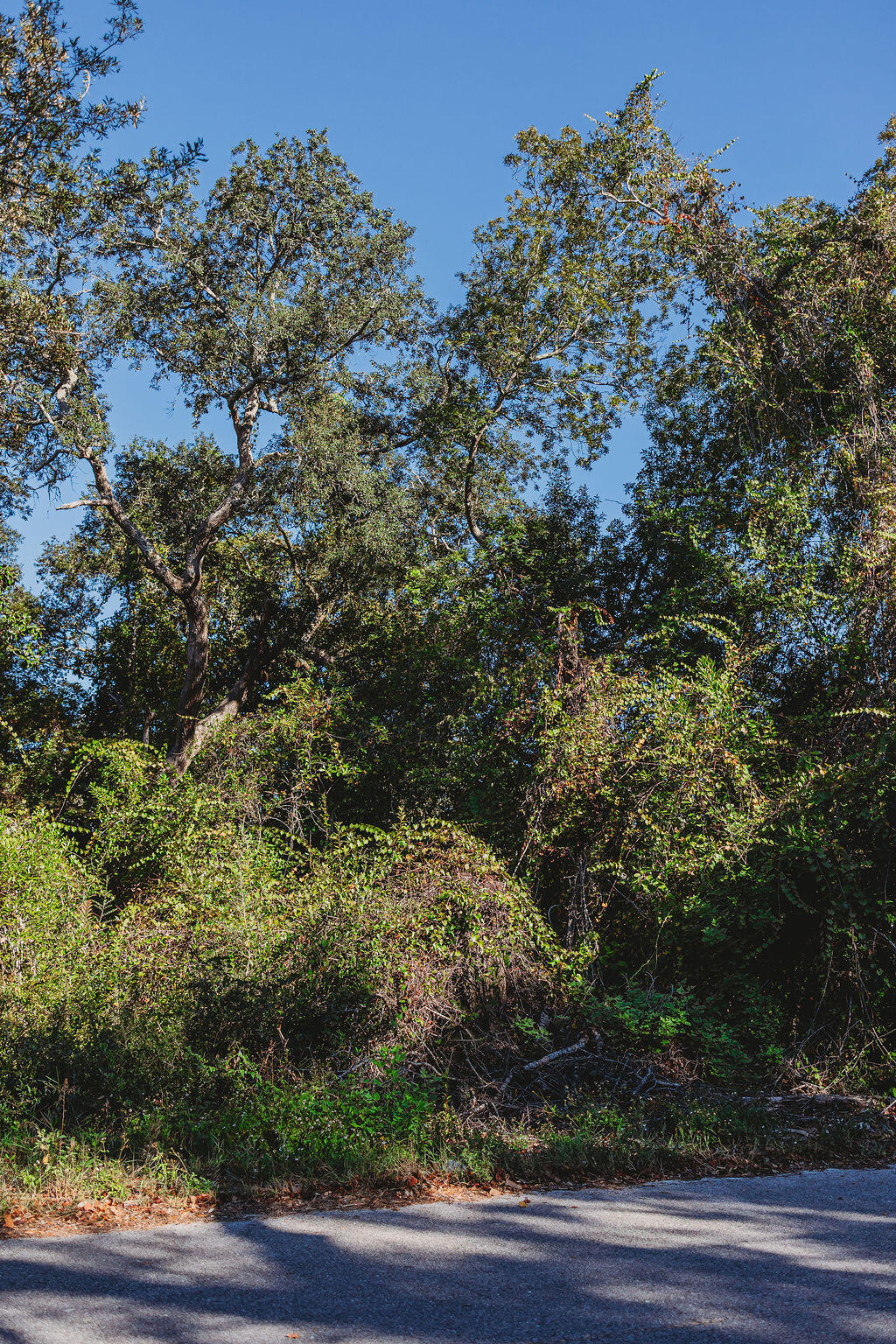 TBD Robert Avenue, Niceville