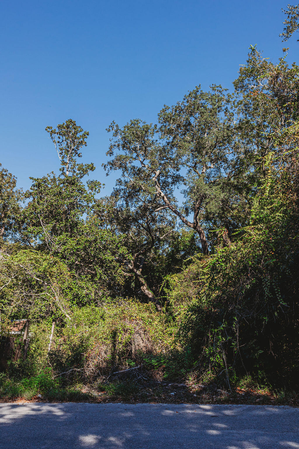 TBD Robert Avenue, Niceville