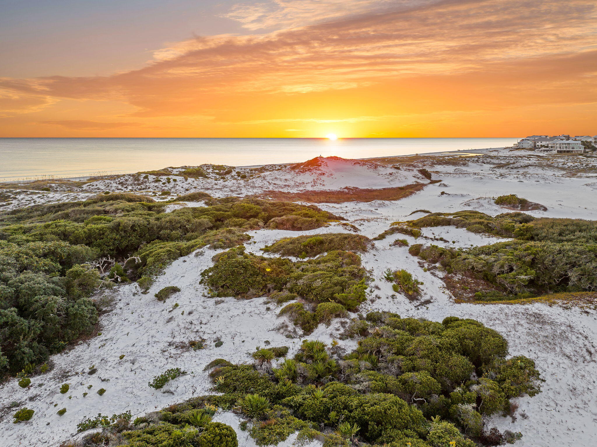 260 Magnolia Street Street