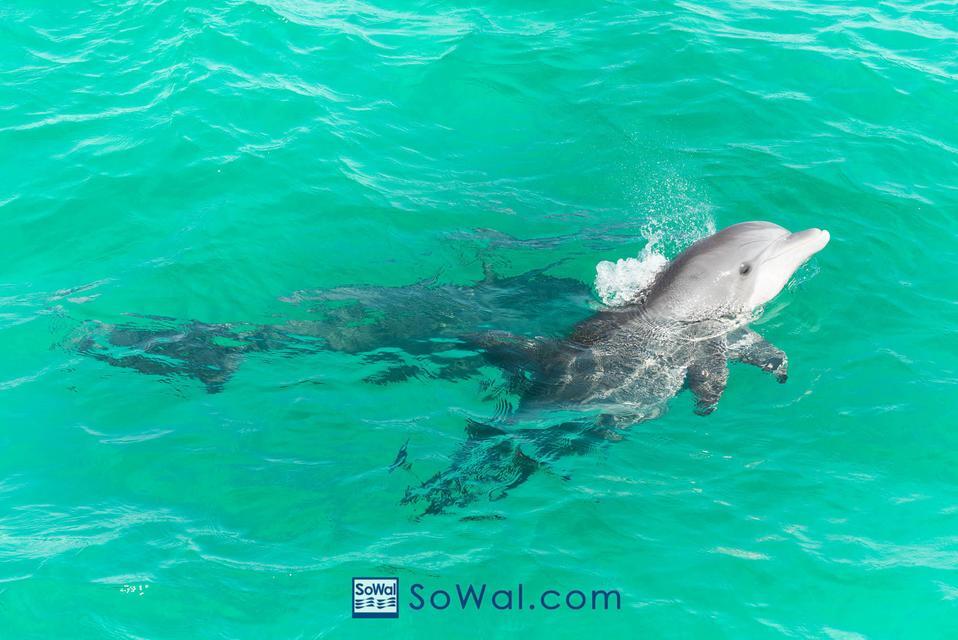 1001 Airport Road Block 7 Lot 2