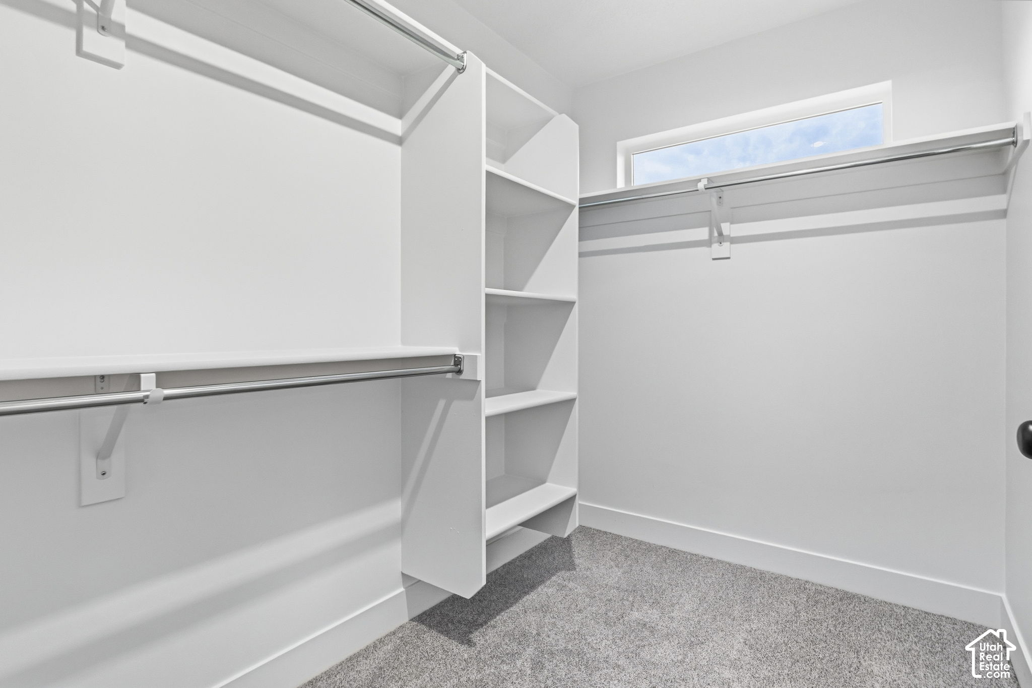 Walk-in closet with white built-in shelving, hanging rods, gray carpet, and a high window.