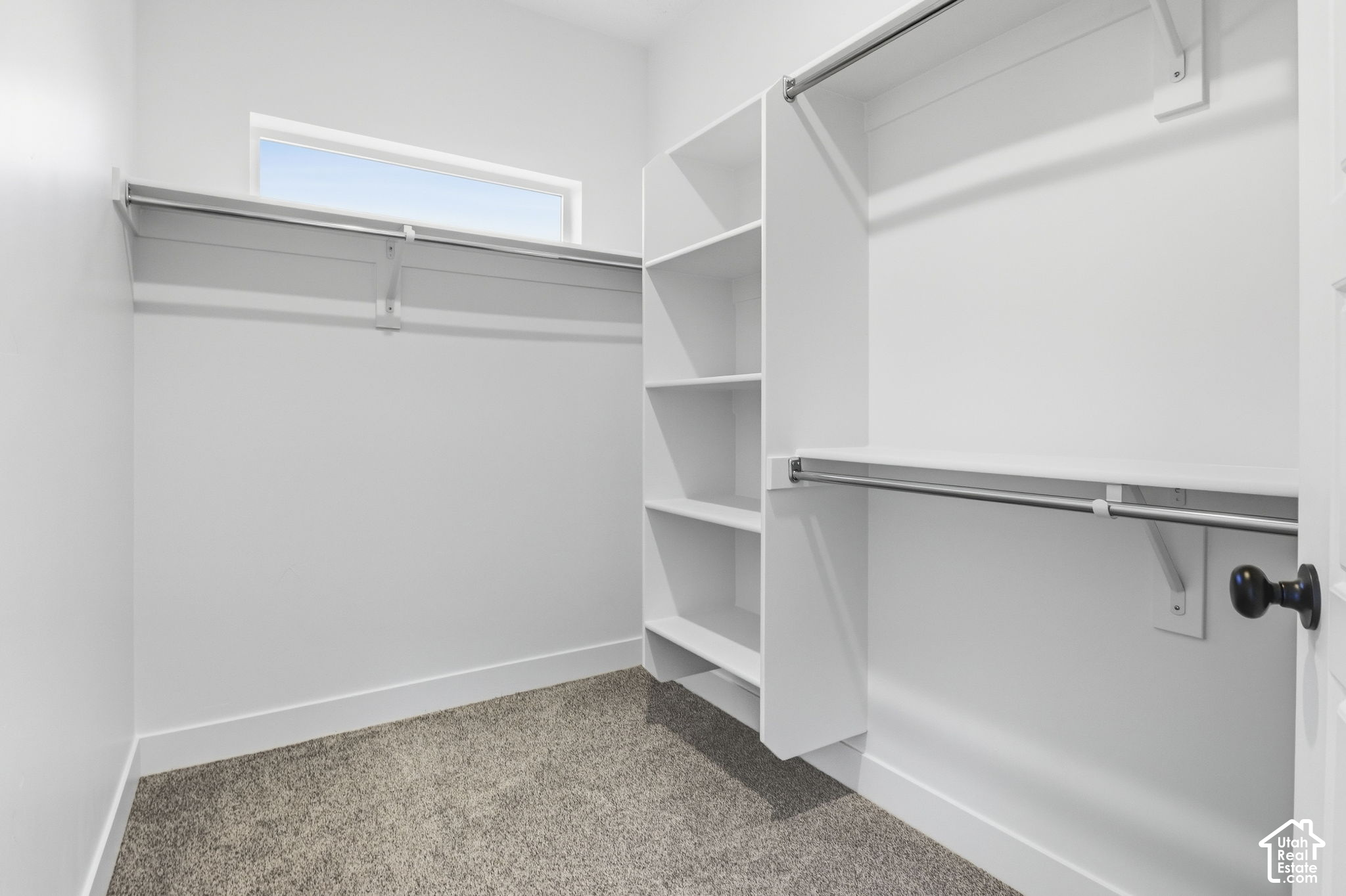Walk-in closet with built-in shelves, hanging rods, beige carpet, and a high window.
