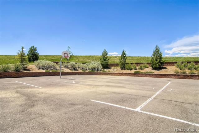 10065 Cairns Court