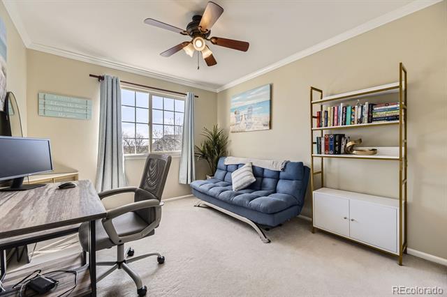 10065 Cairns Court