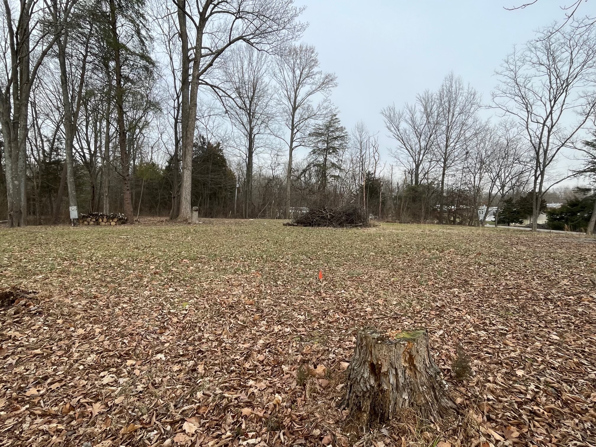 1253 & 1254 Dogwood Lane