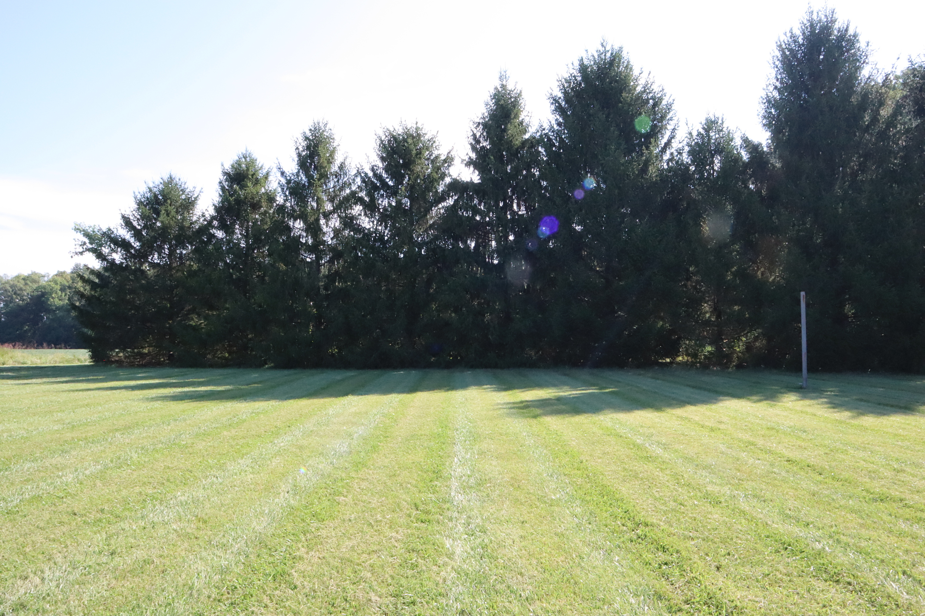 2410 S State Highway 7