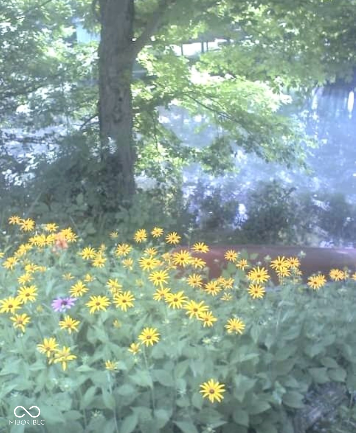 19383 E Lake Site Drive