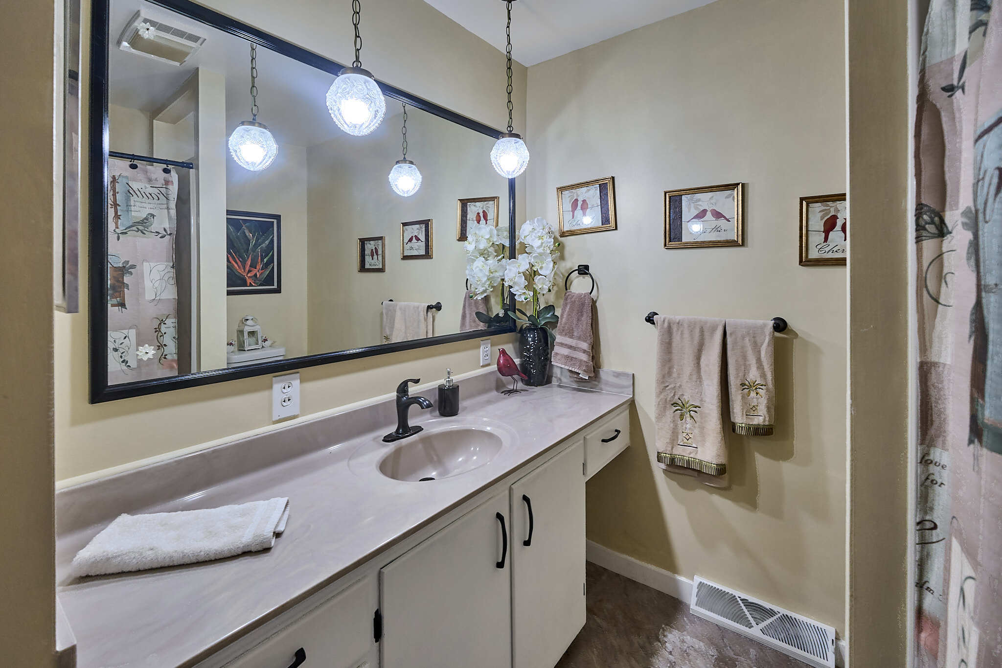 735 Terrace Lake Drive