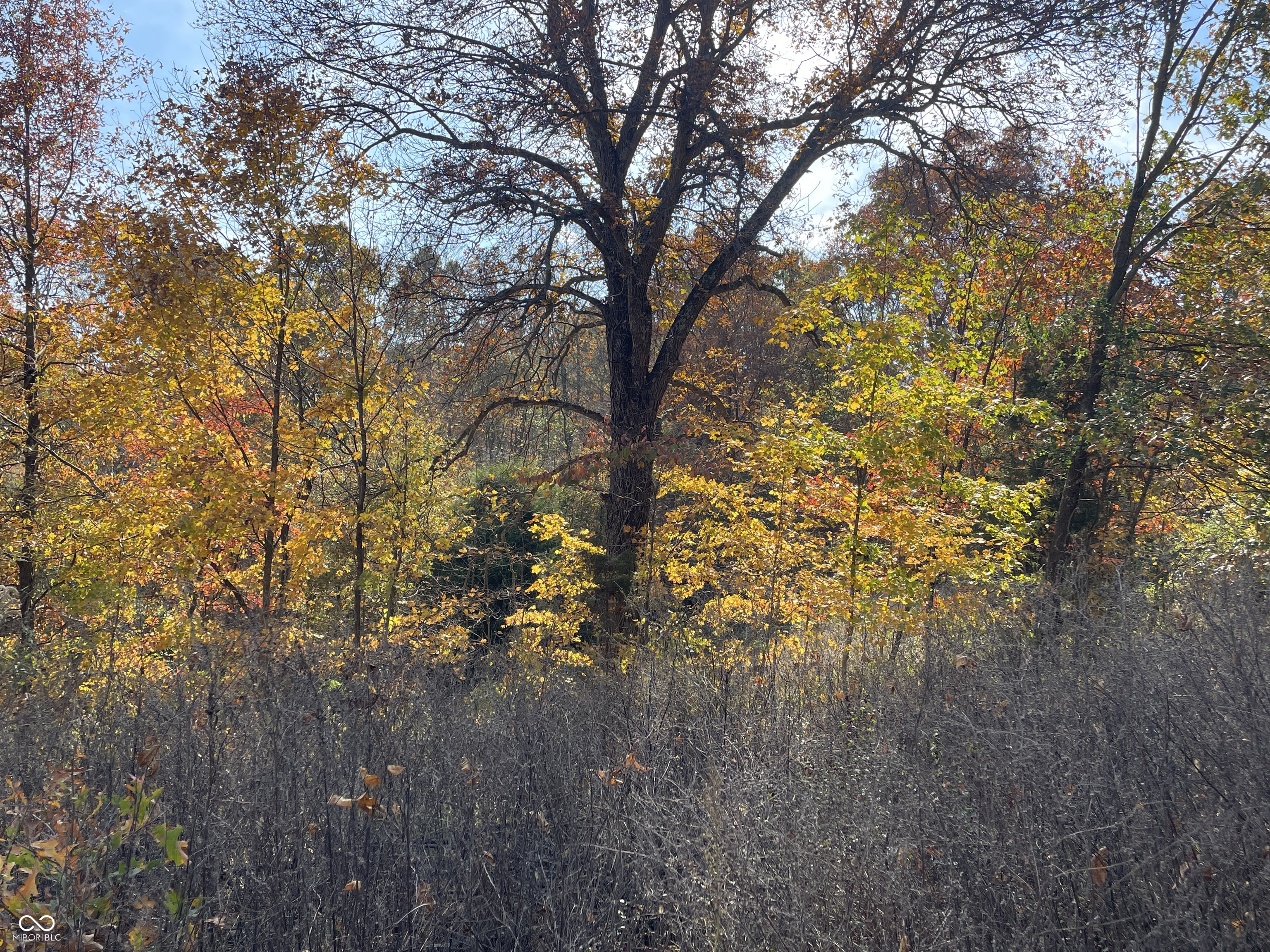 7535 W County Road 275 S