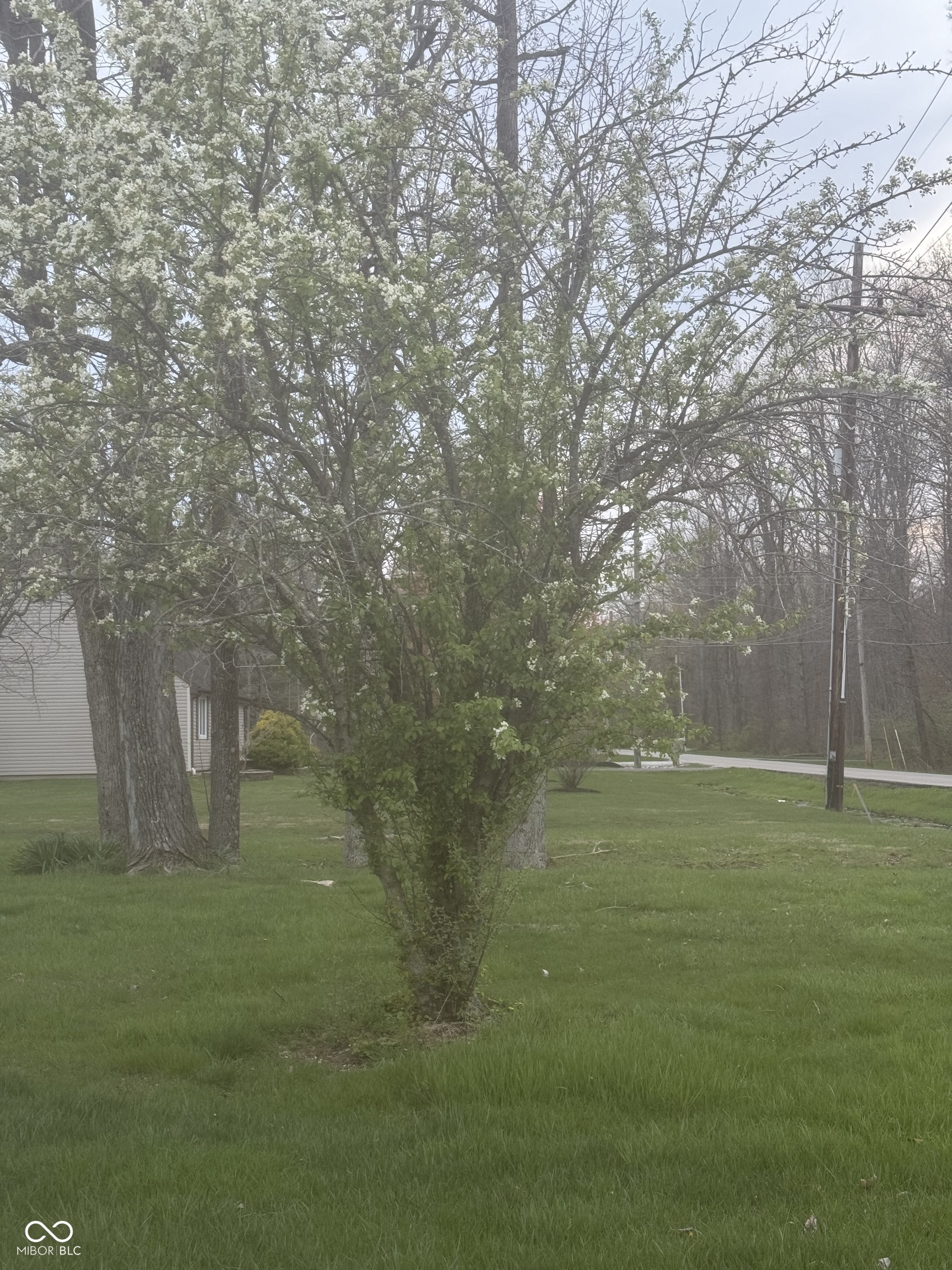 2105 W County Road 200 N