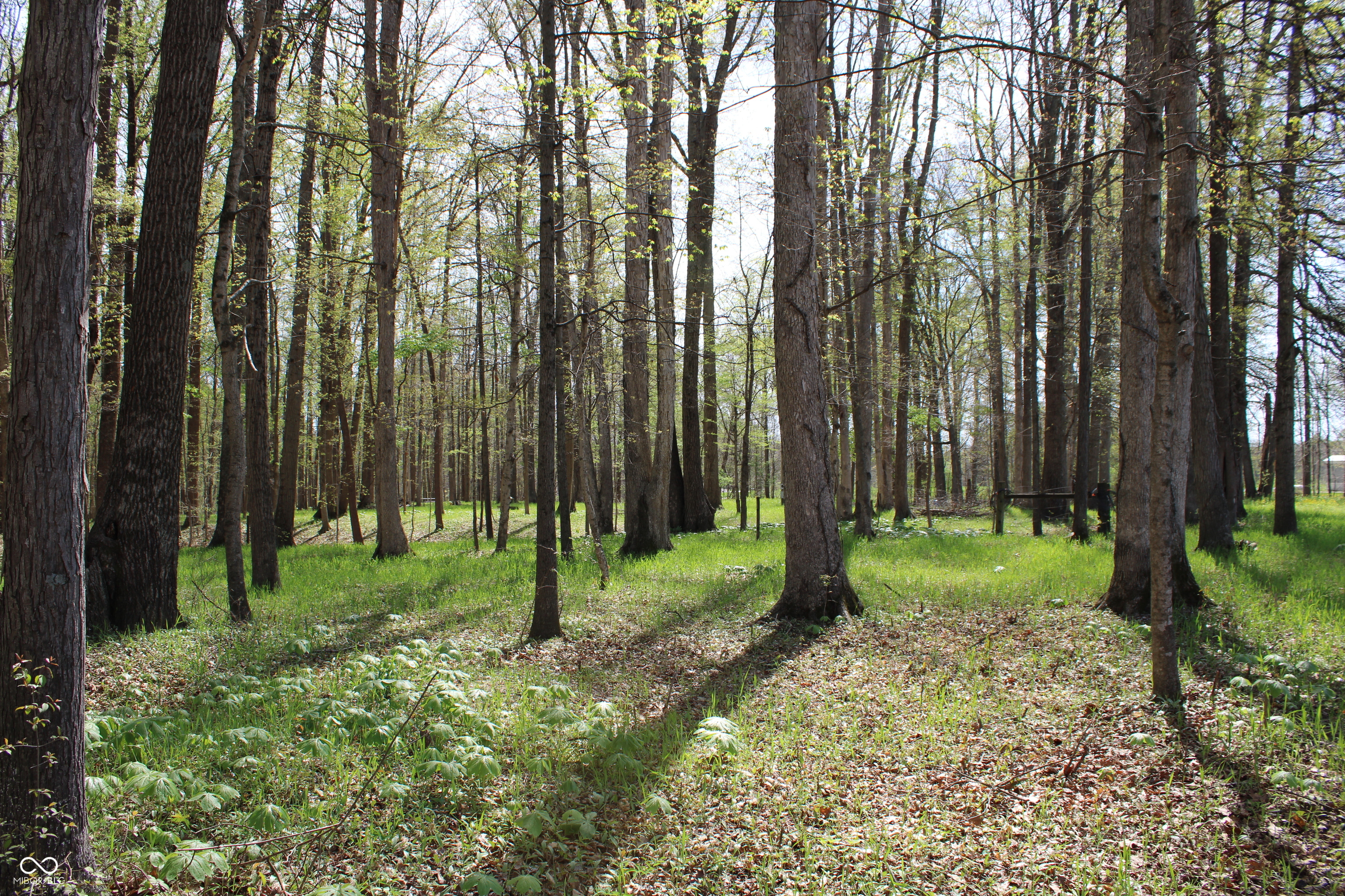 Tract E N County Road 225 W