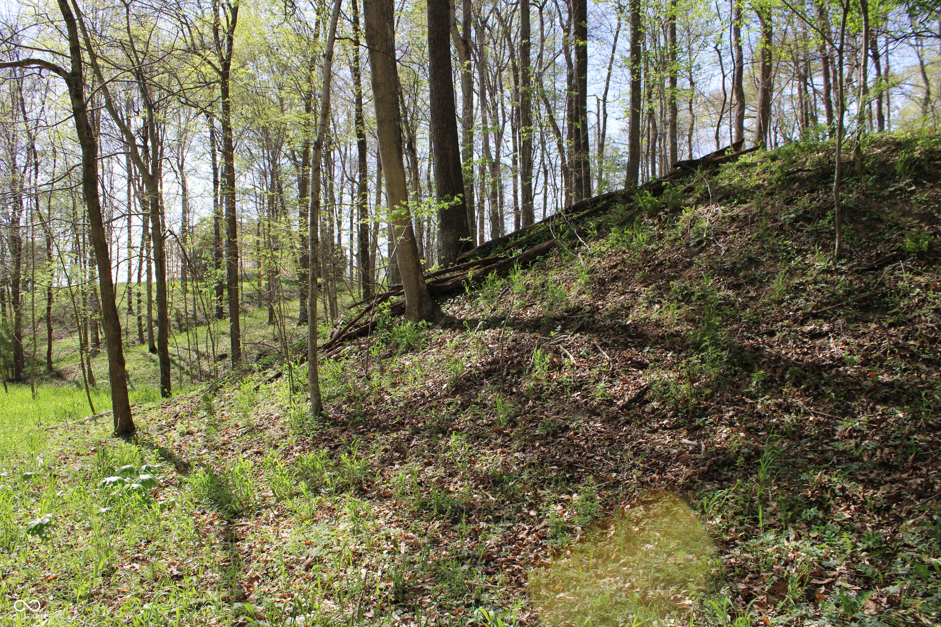 Tract E N County Road 225 W