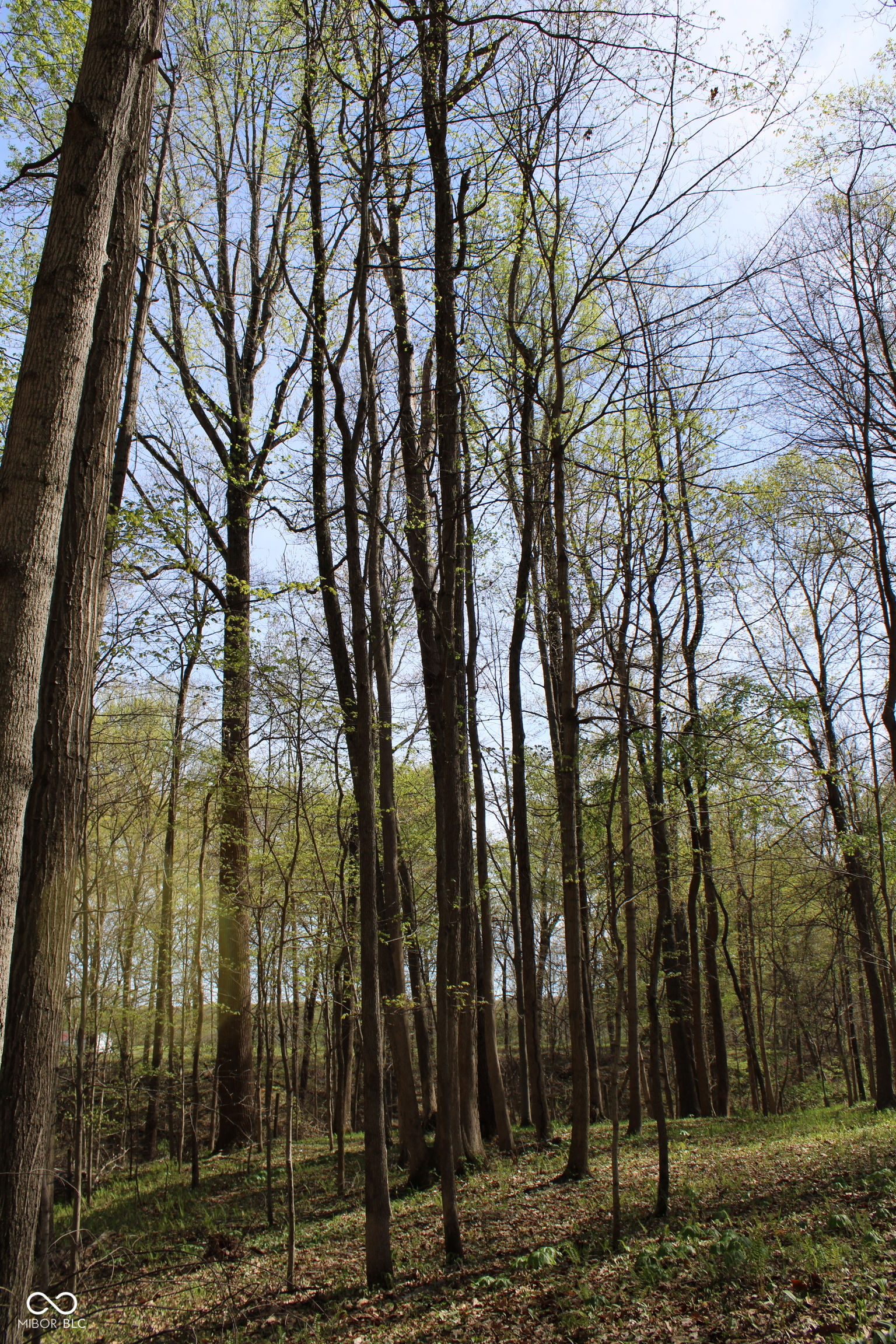 Tract E N County Road 225 W