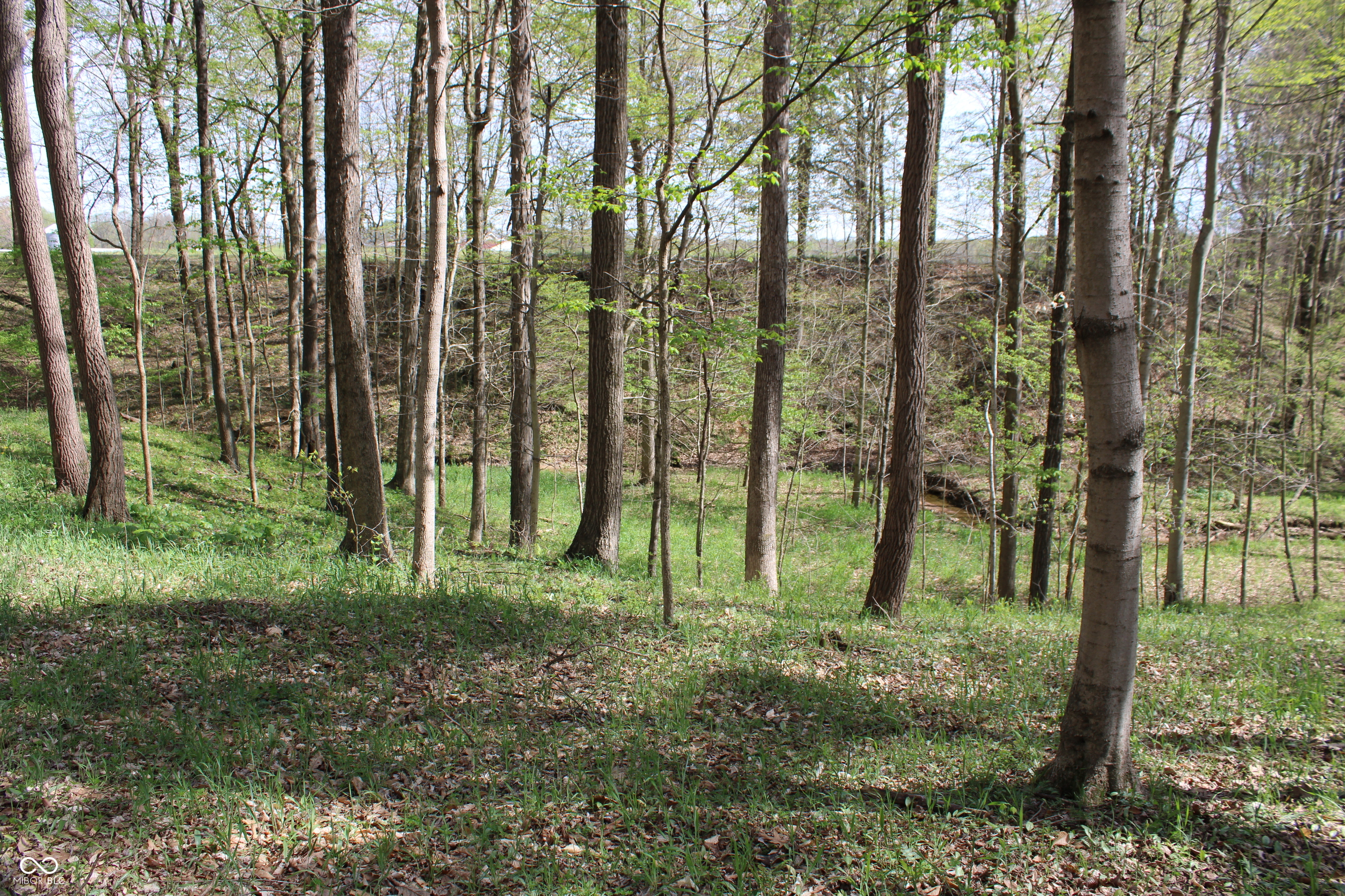 Tract E N County Road 225 W