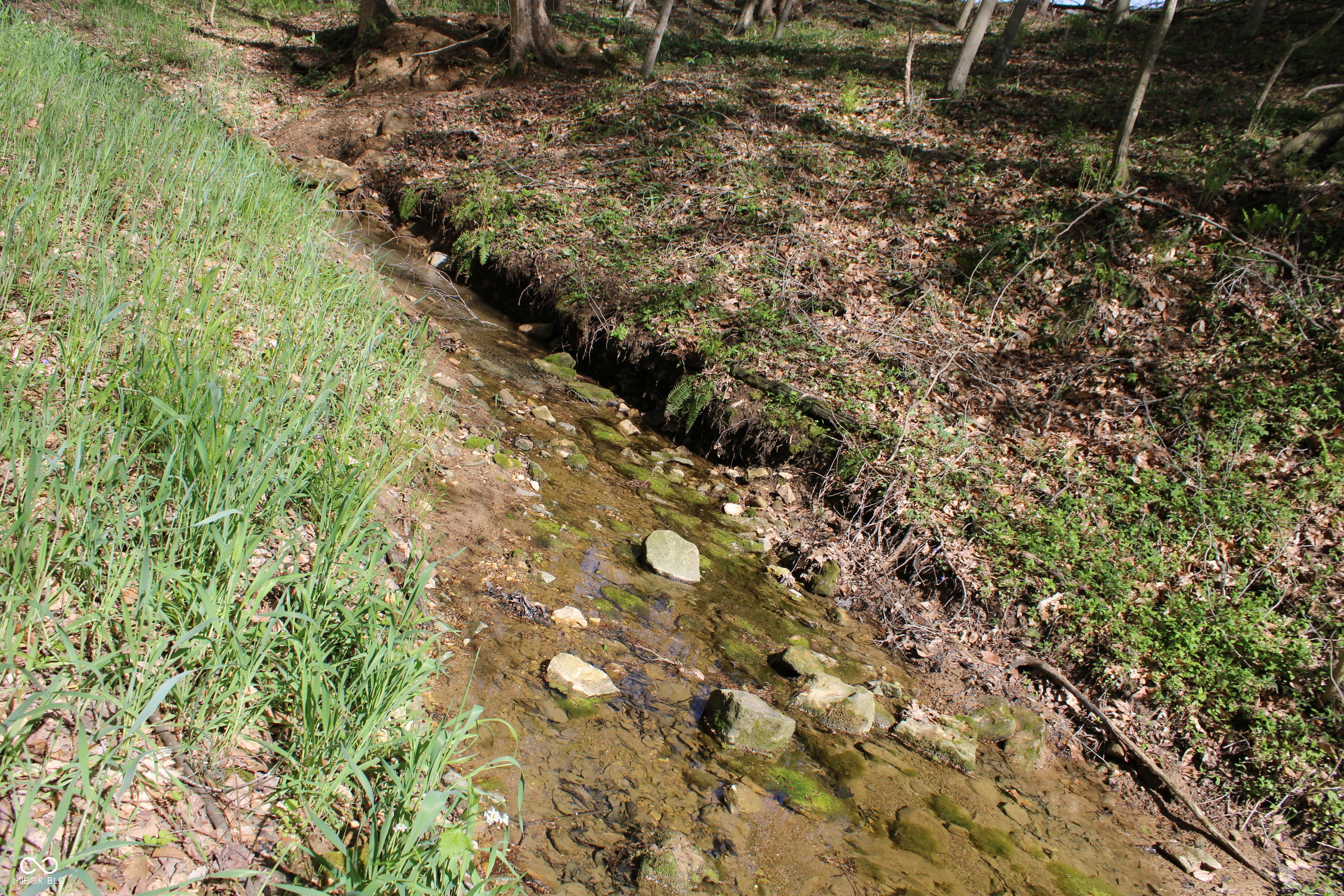 Tract E N County Road 225 W