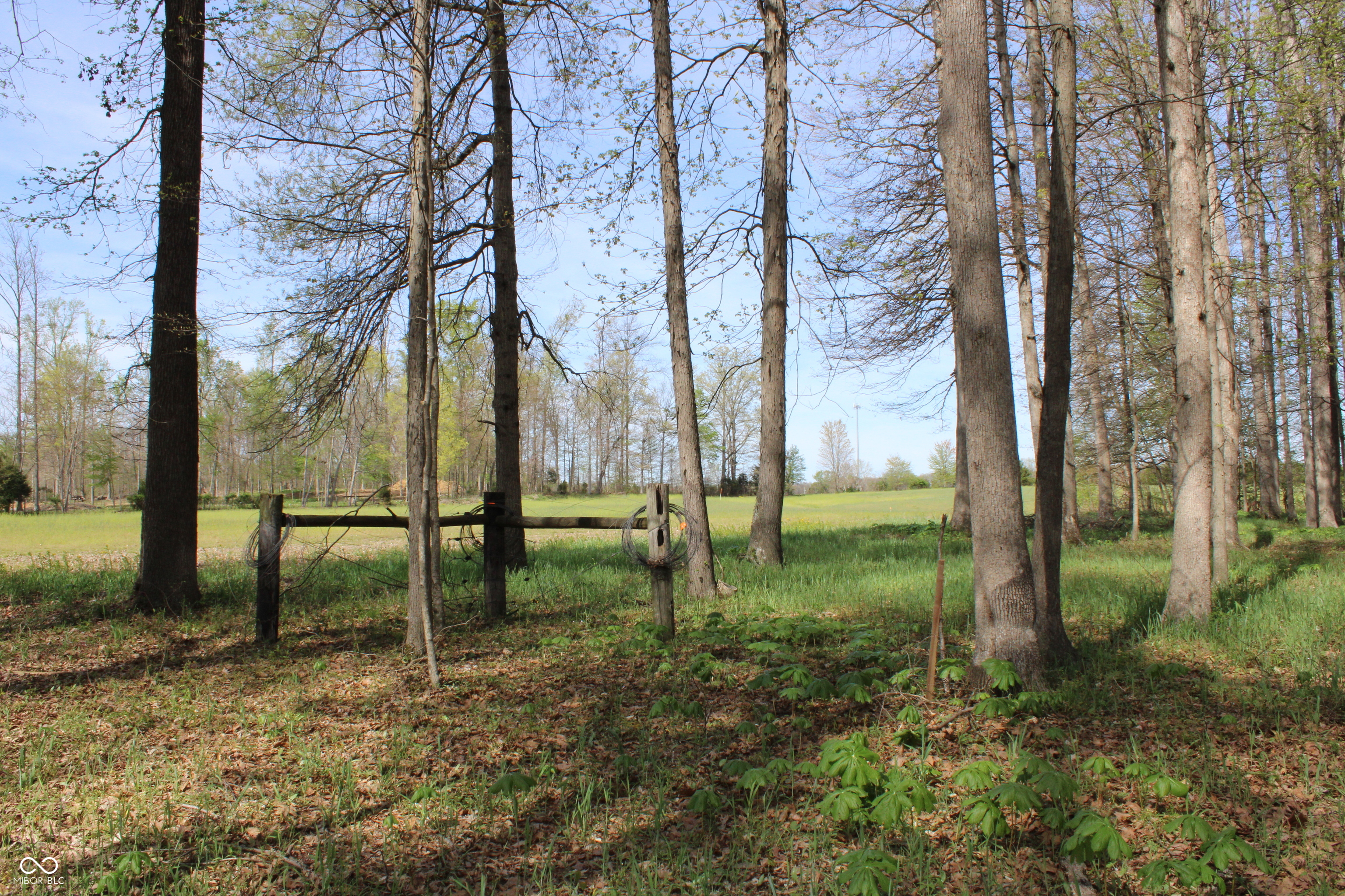 Tract E N County Road 225 W