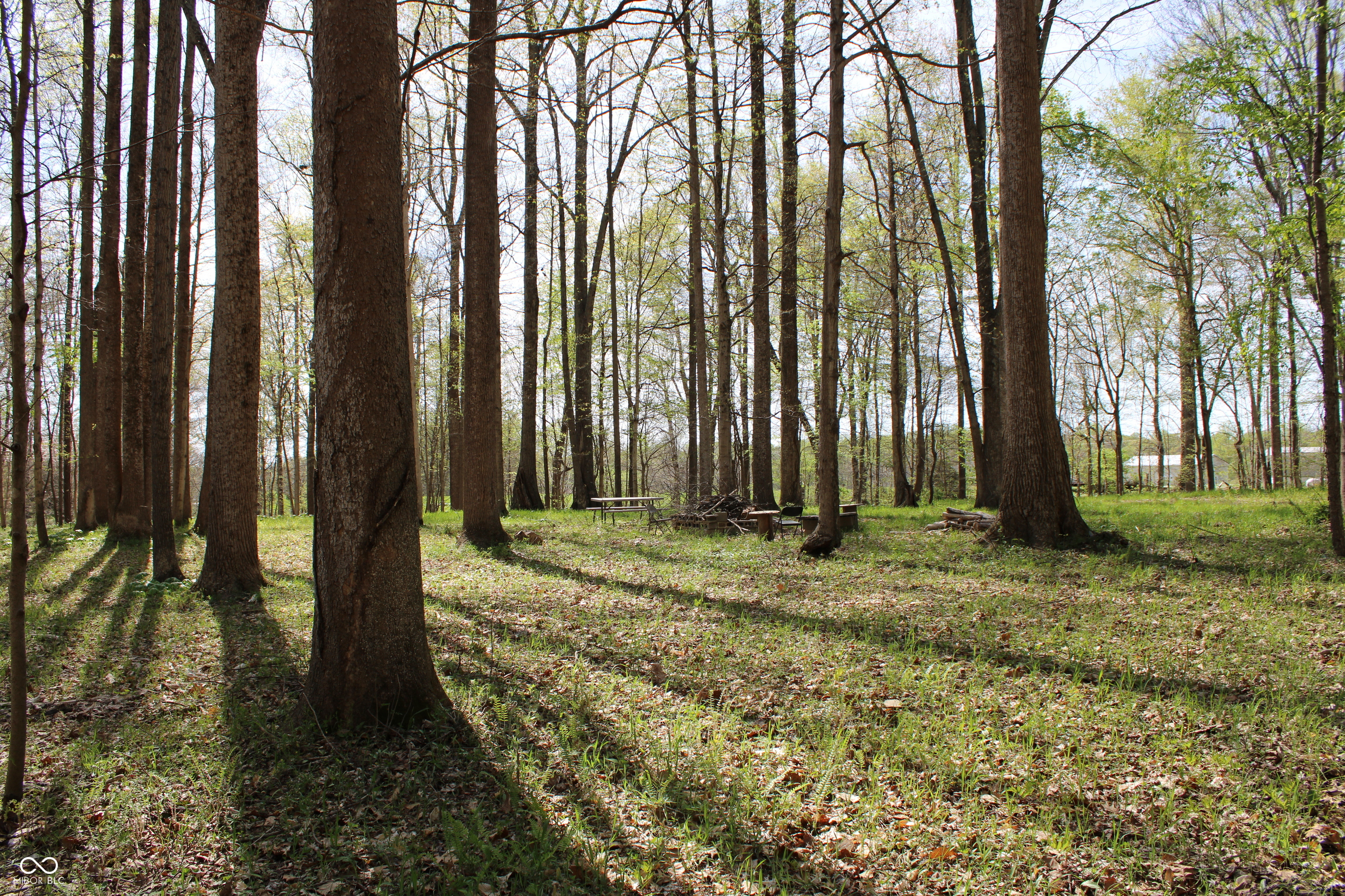 Tract E N County Road 225 W