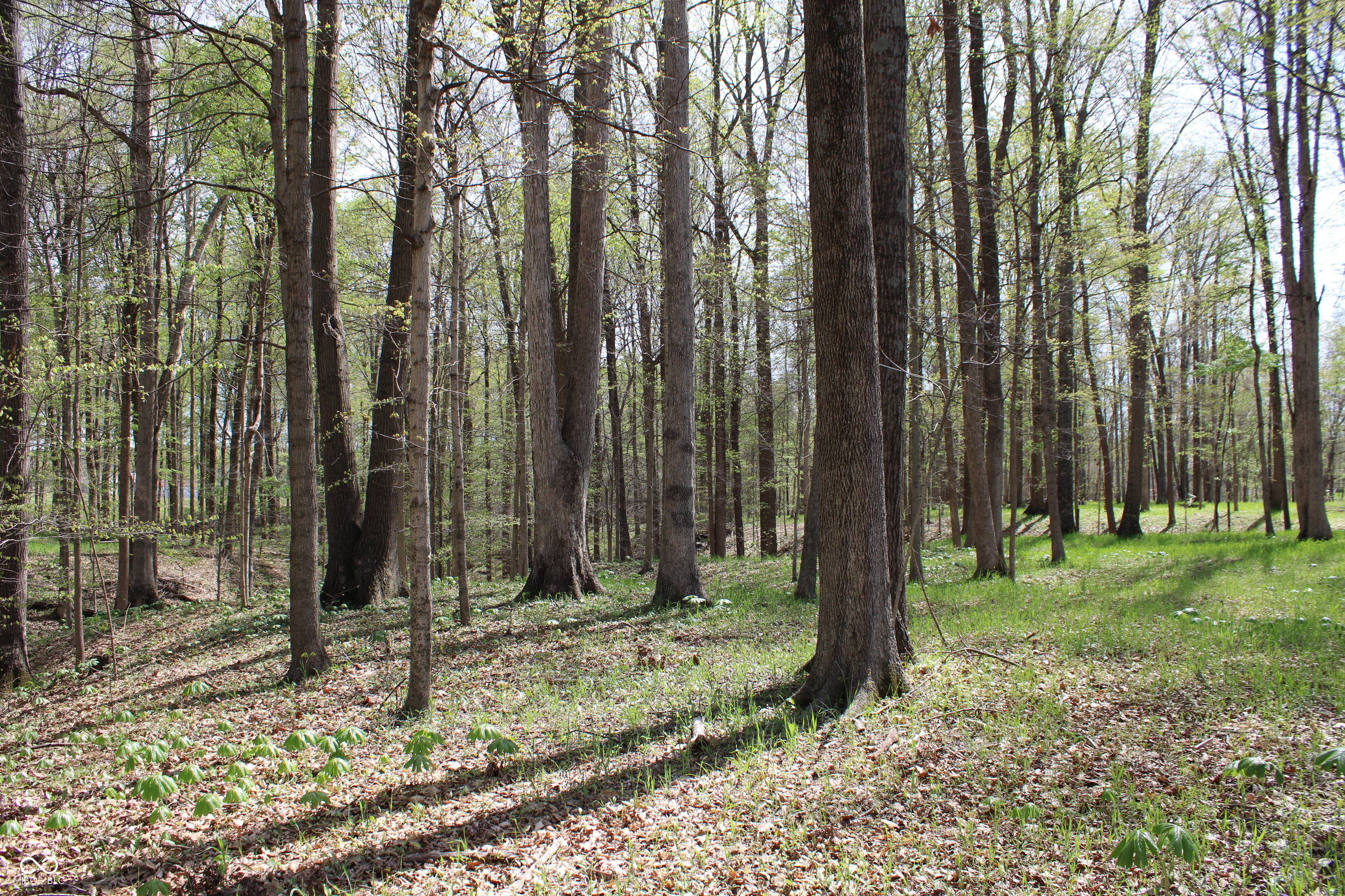 Tract E N County Road 225 W