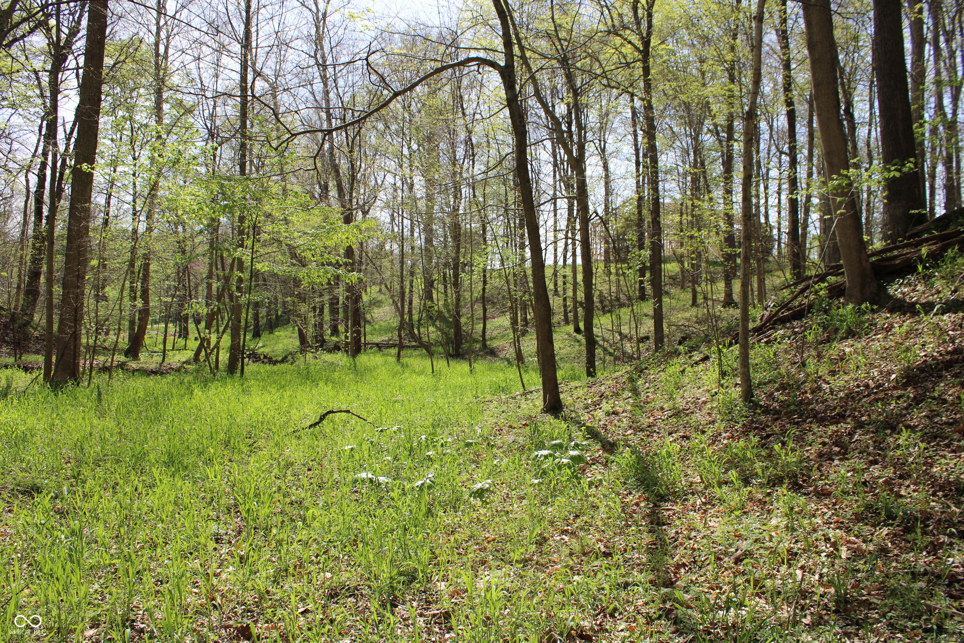 Tract E N County Road 225 W