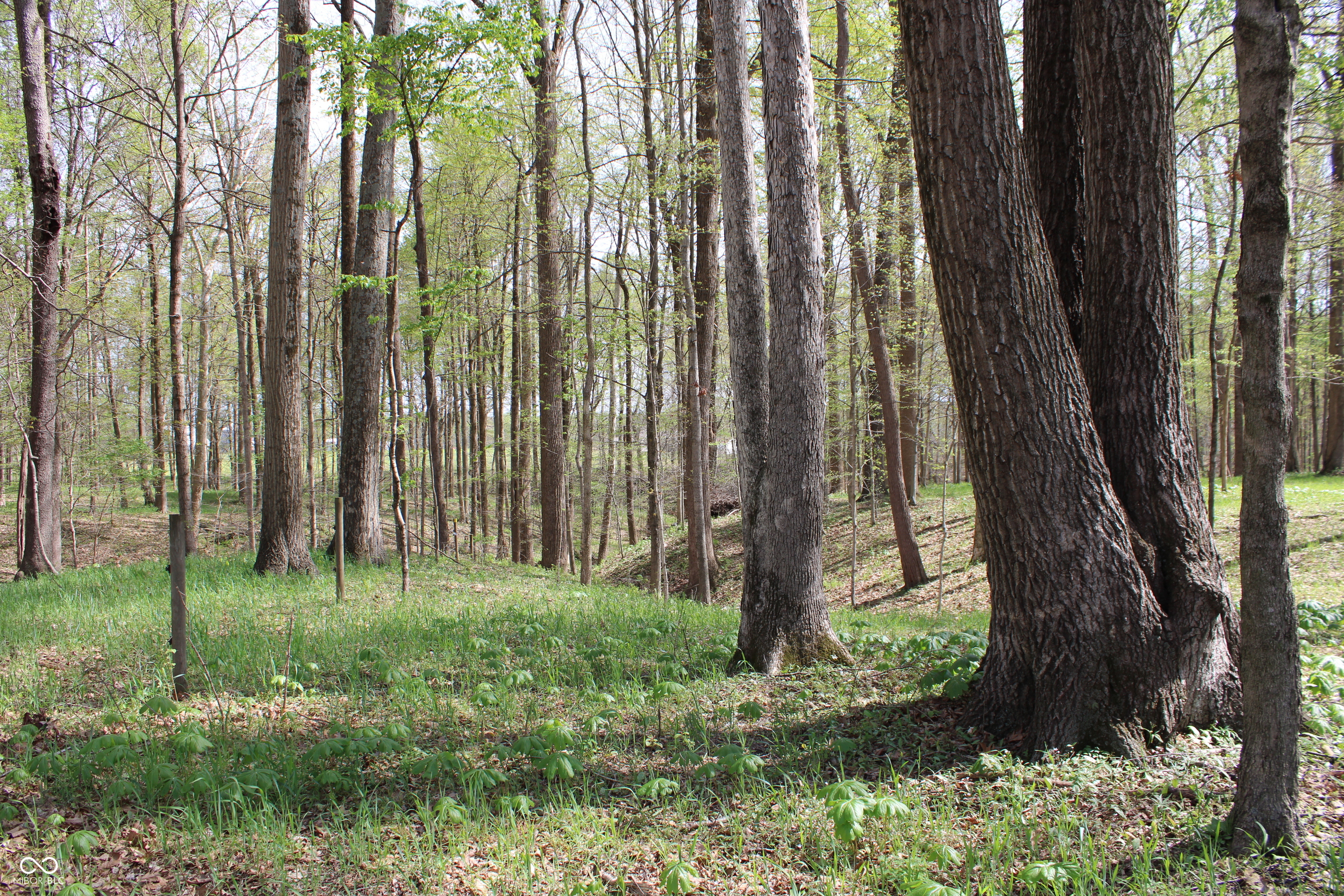 Tract E N County Road 225 W