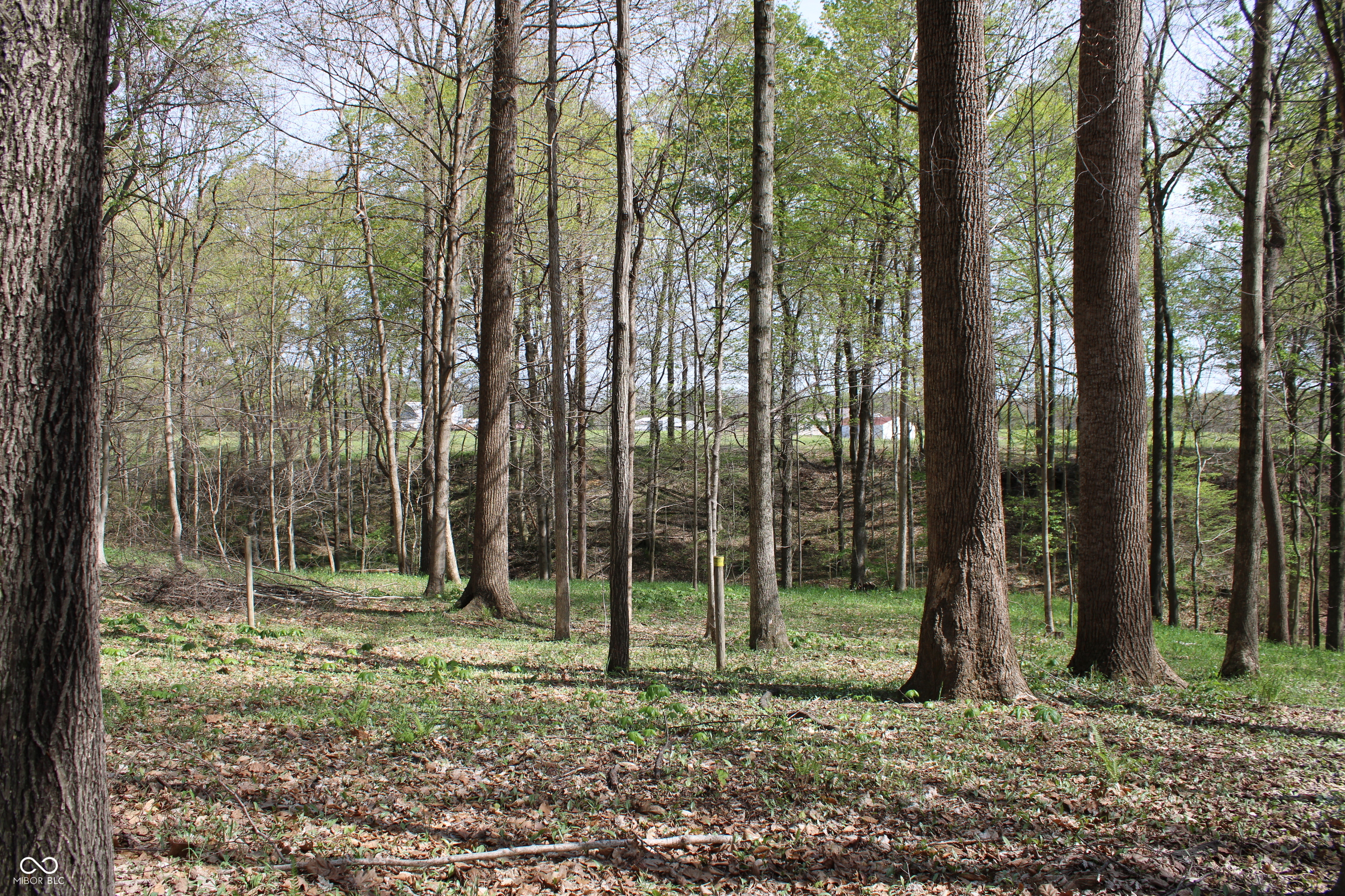 Tract E N County Road 225 W