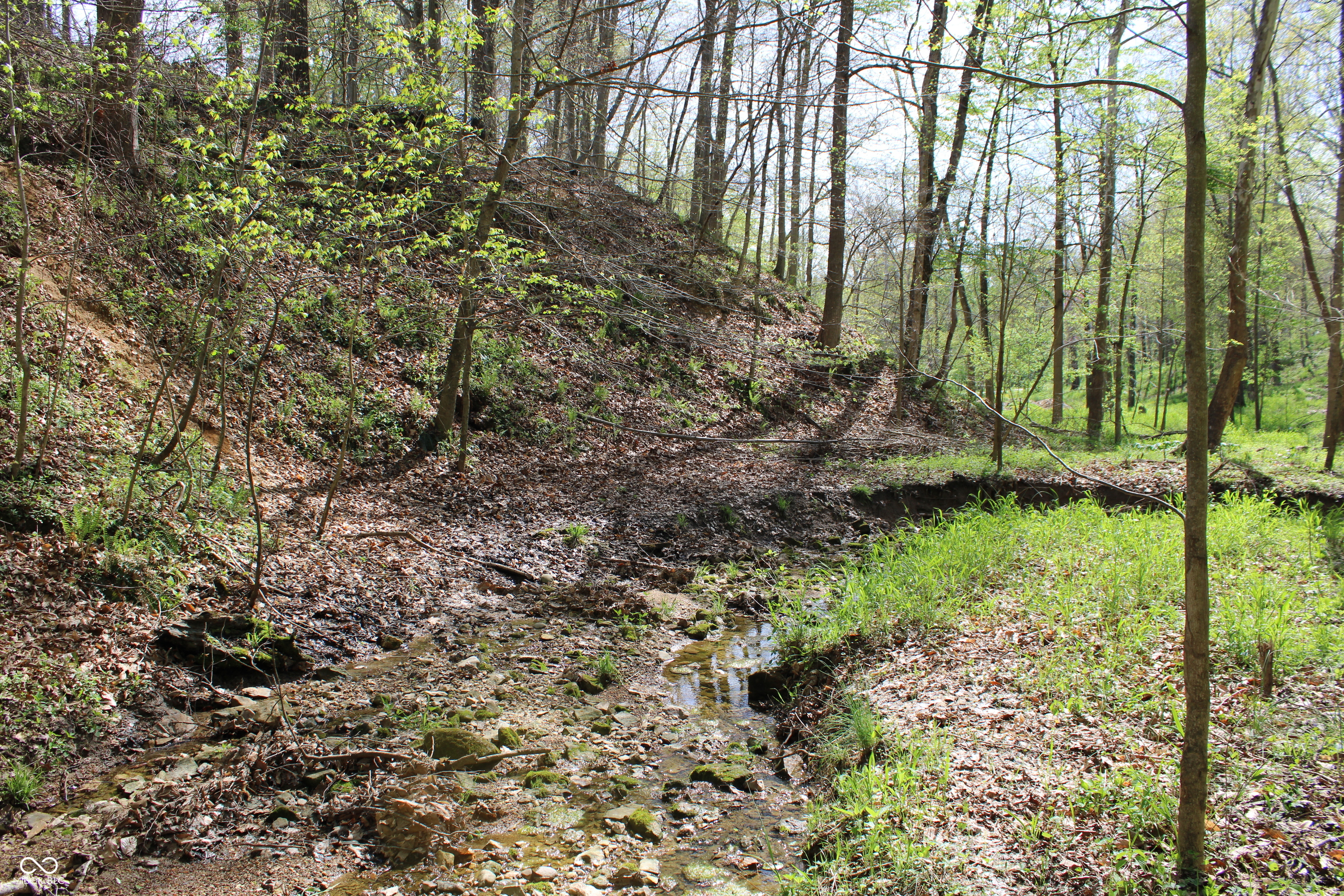 Tract E N County Road 225 W