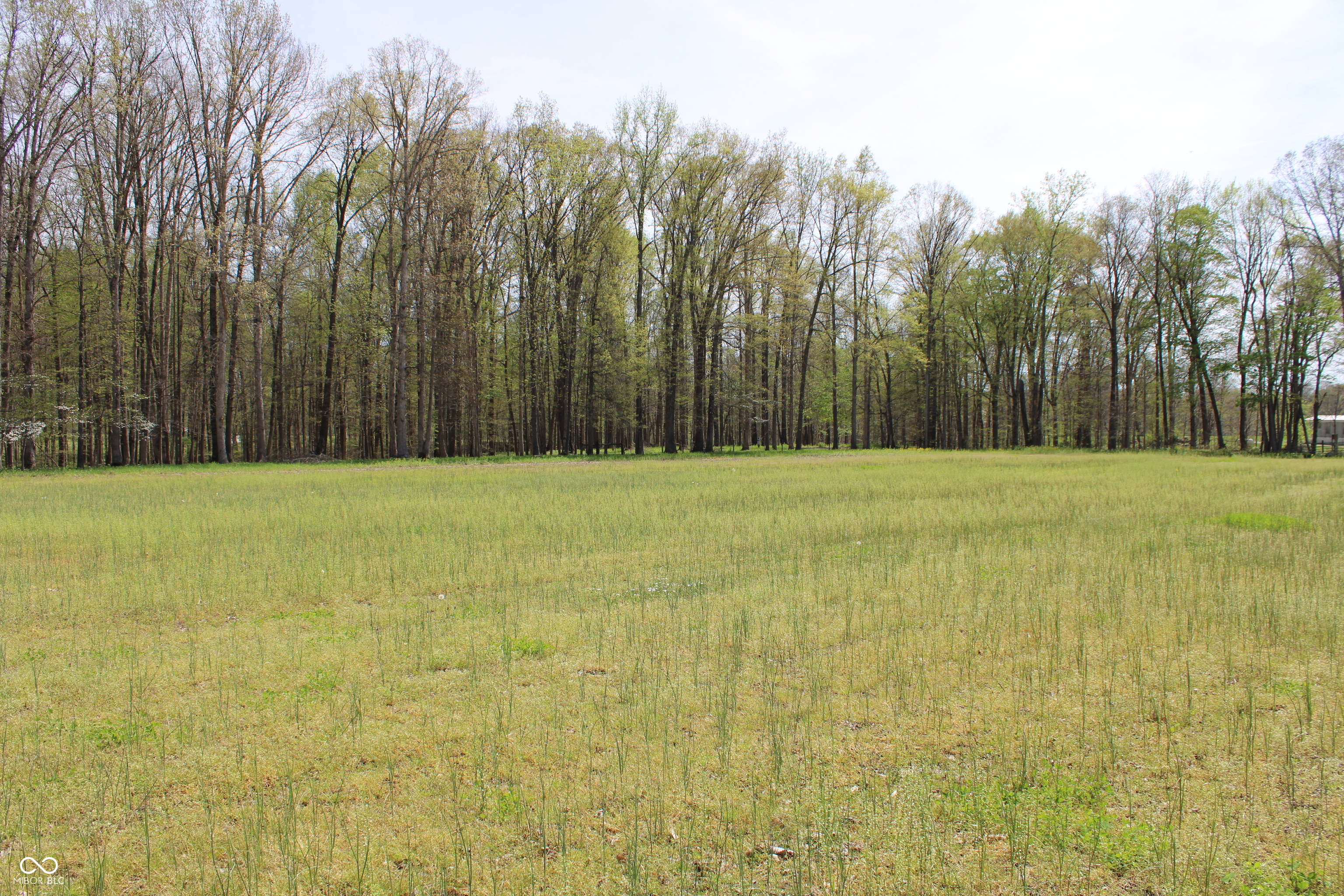 Tract E N County Road 225 W