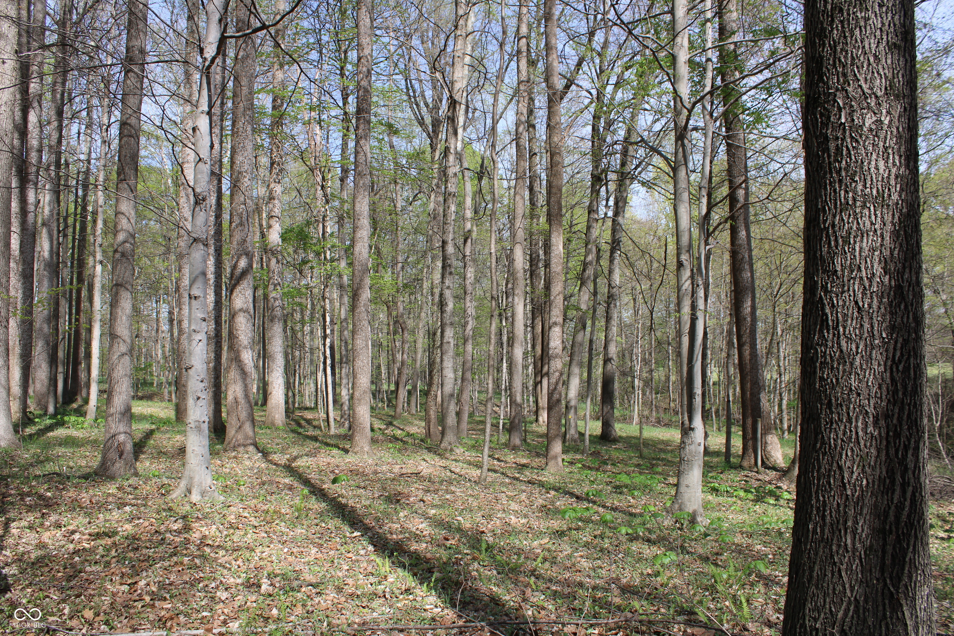 Tract E N County Road 225 W