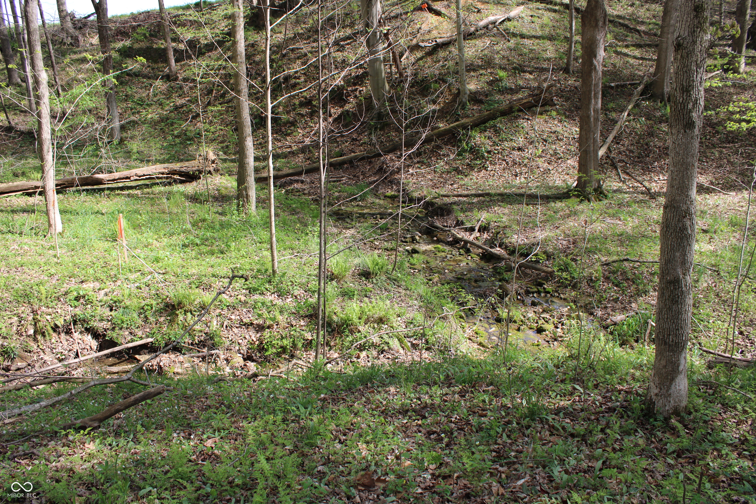 Tract E N County Road 225 W