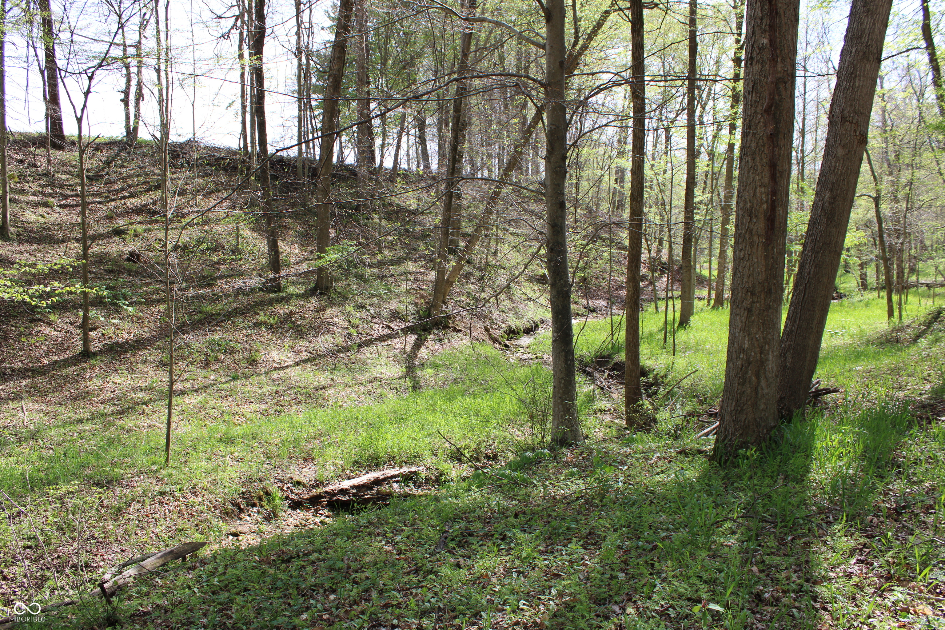 Tract E N County Road 225 W