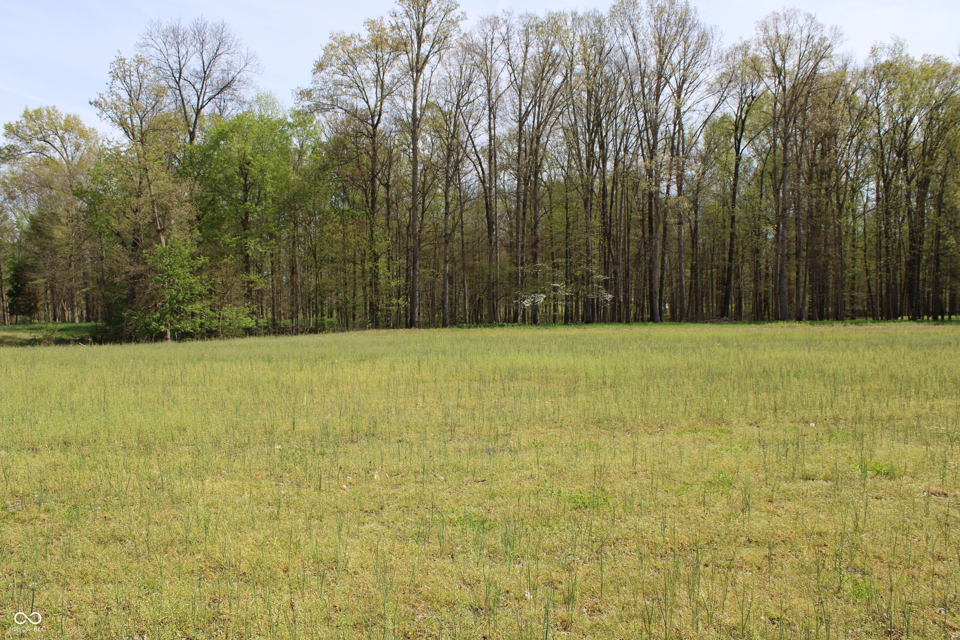 Tract E N County Road 225 W