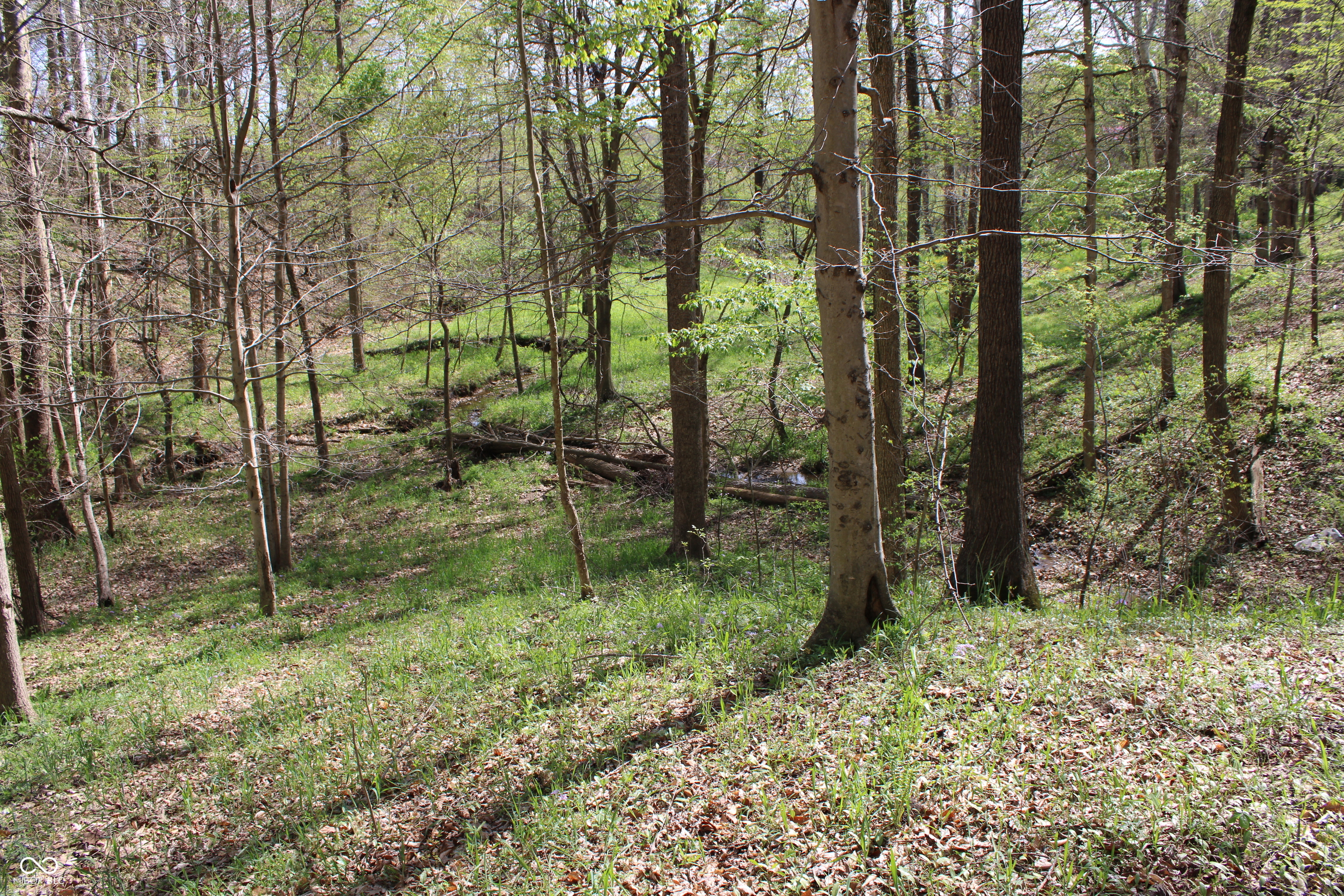 Tract E N County Road 225 W