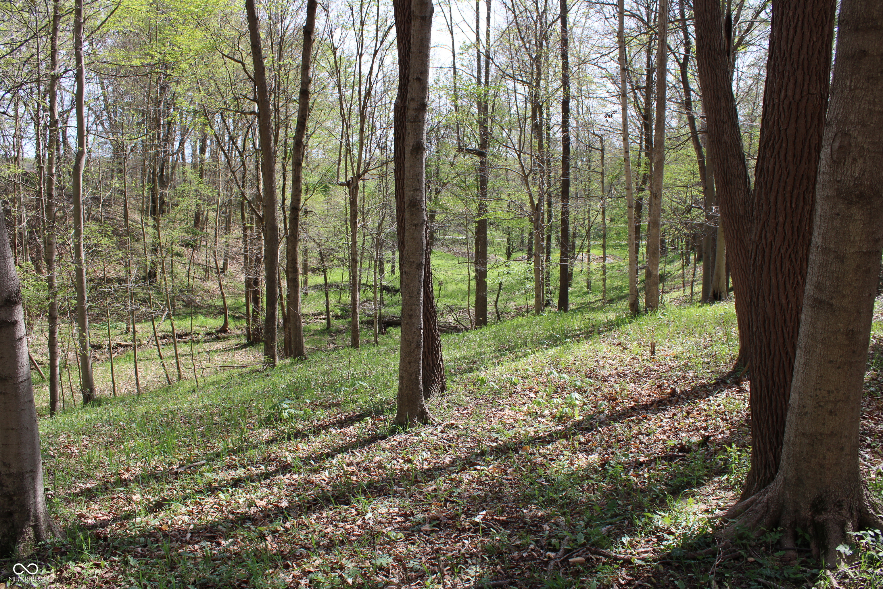 Tract E N County Road 225 W