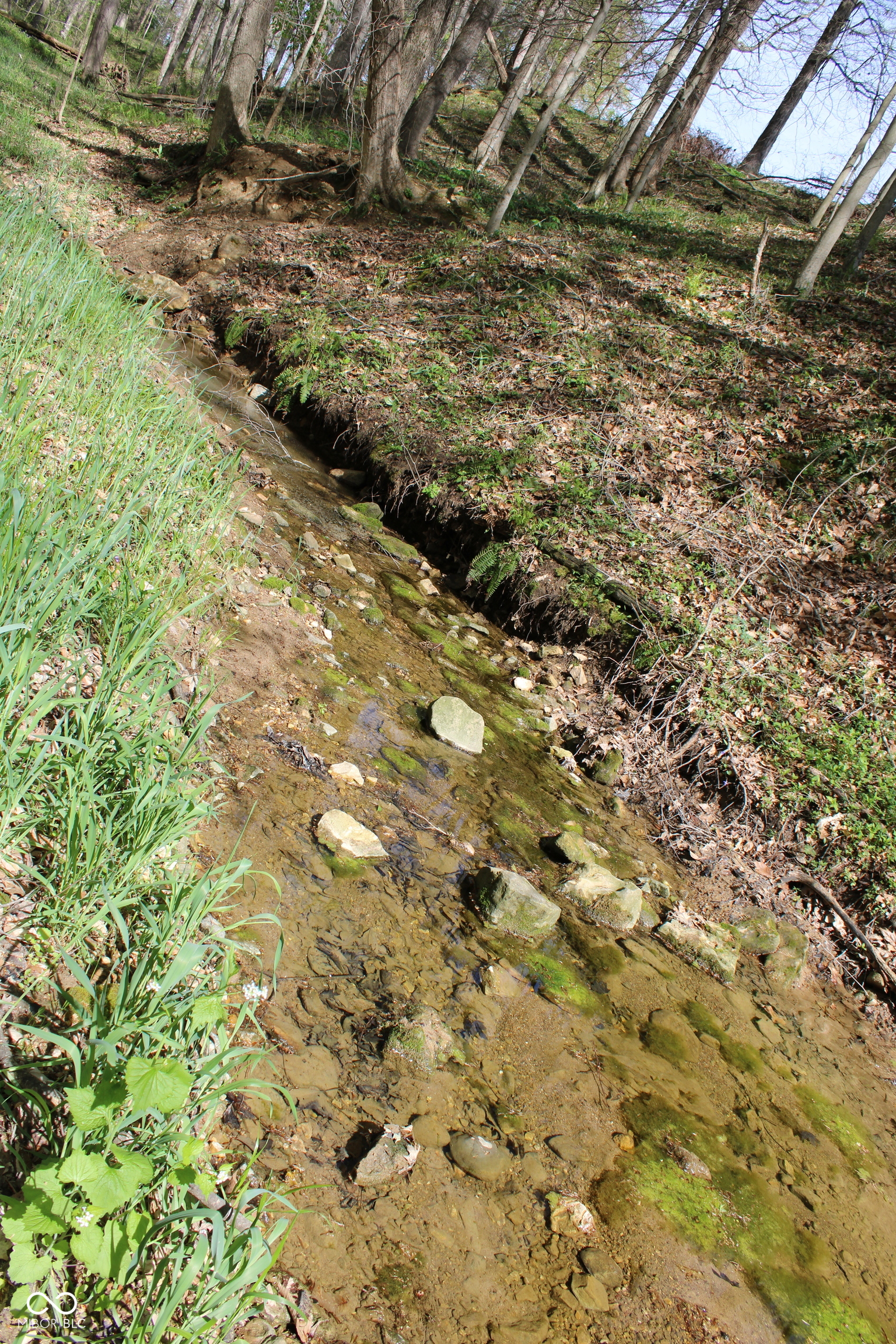 Tract E N County Road 225 W