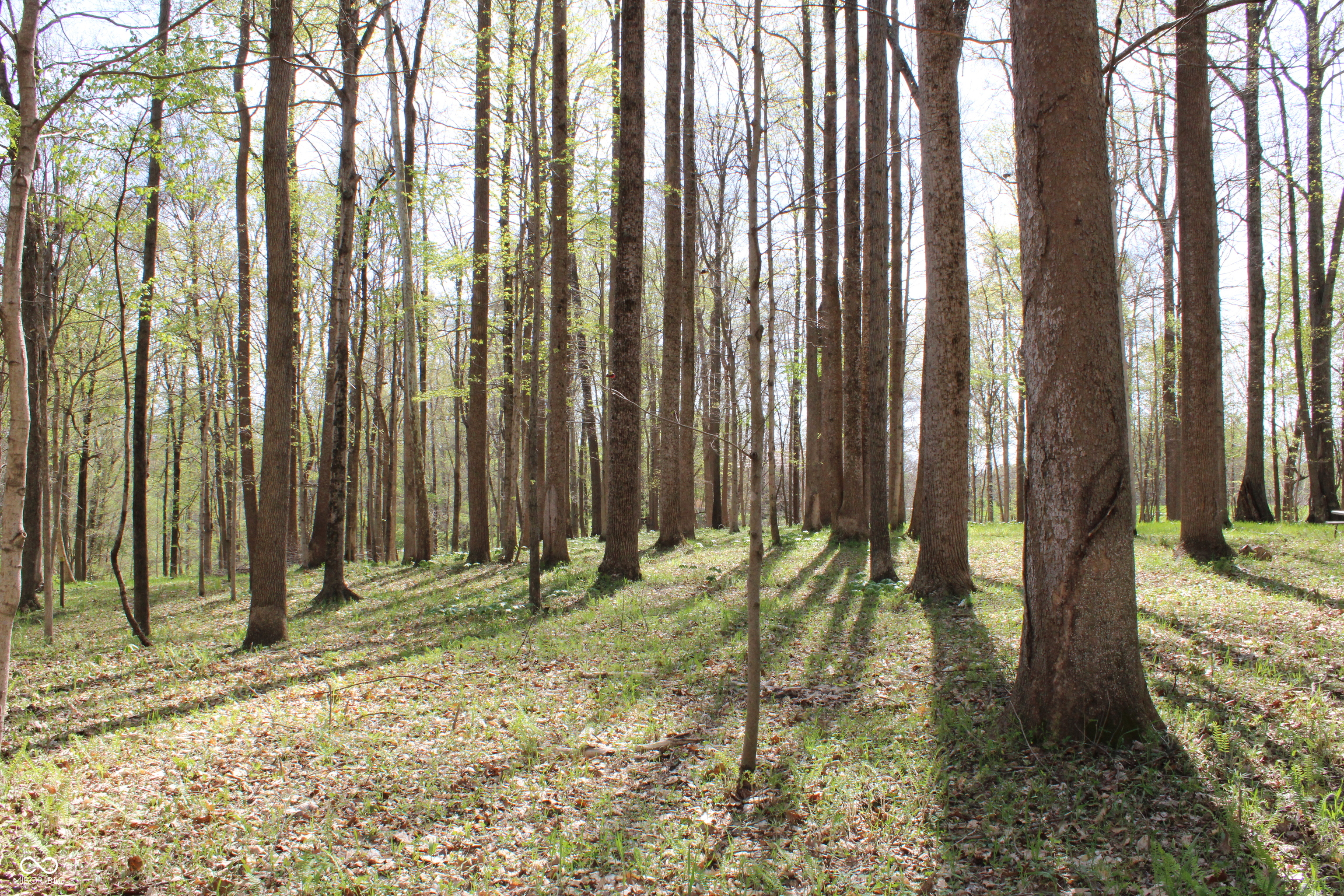 Tract E N County Road 225 W