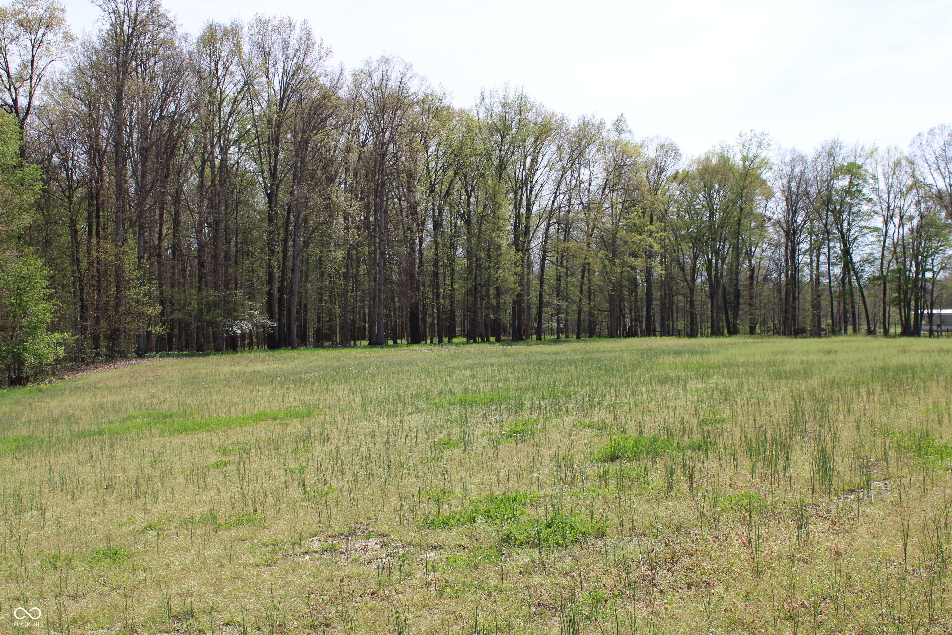 Tract E N County Road 225 W