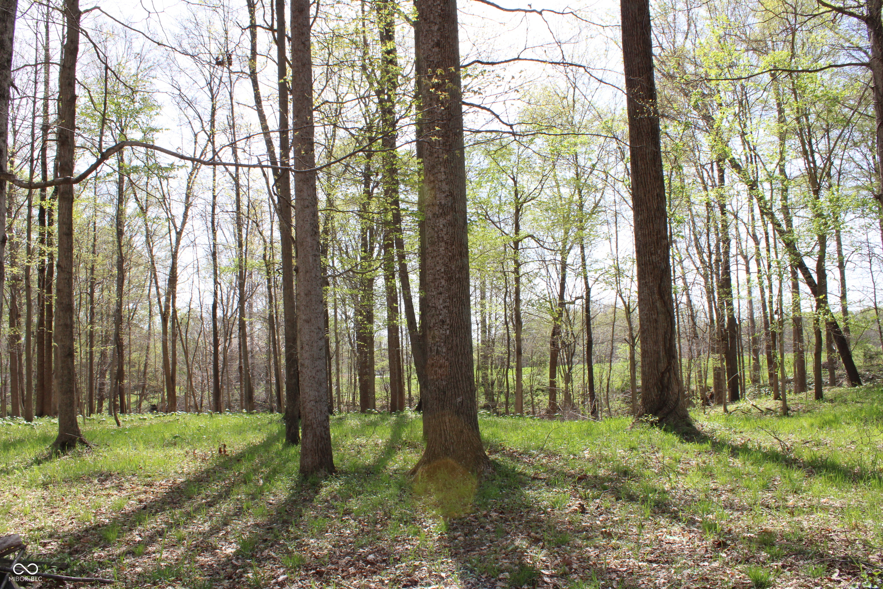 Tract E N County Road 225 W