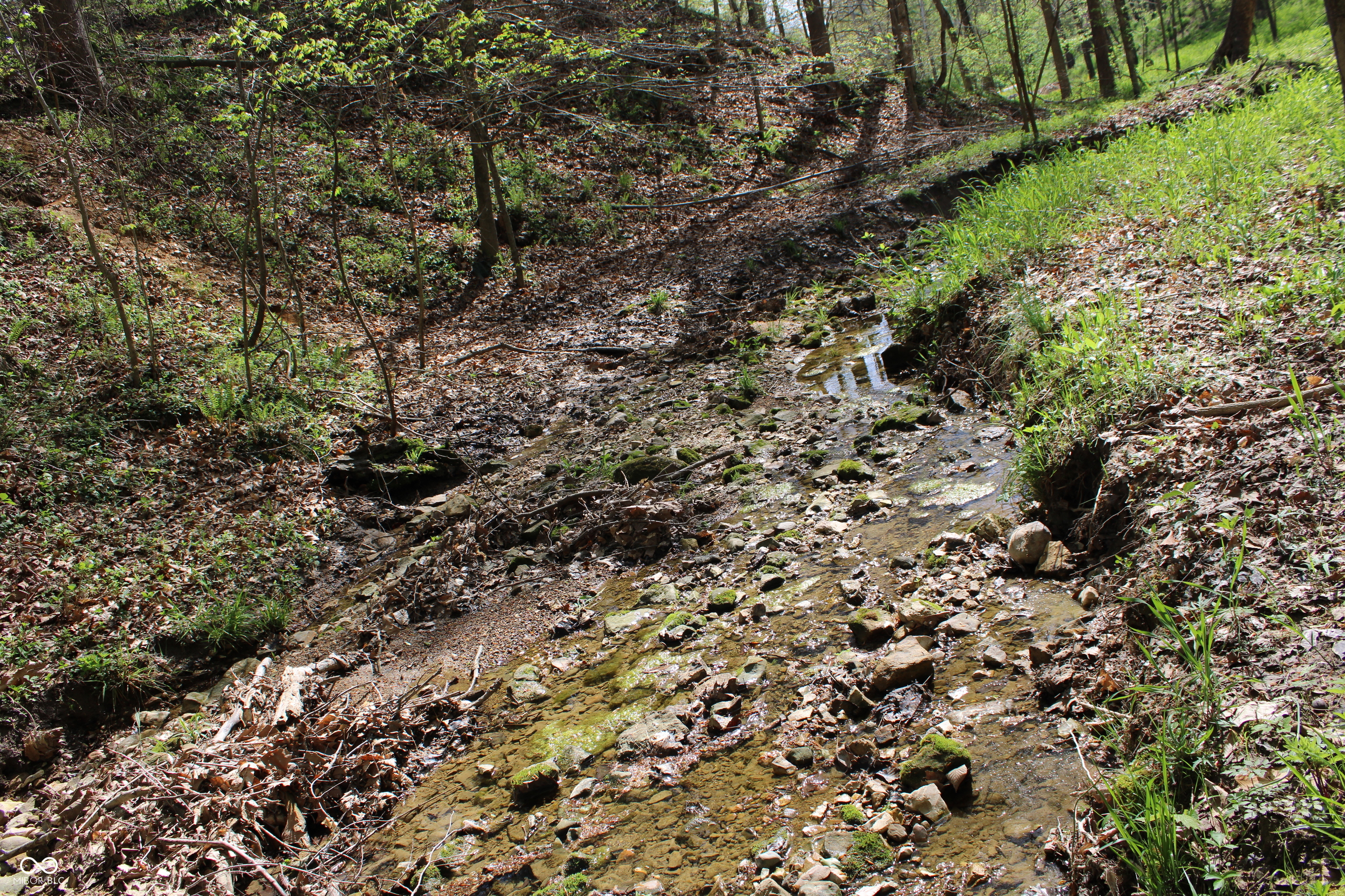 Tract E N County Road 225 W