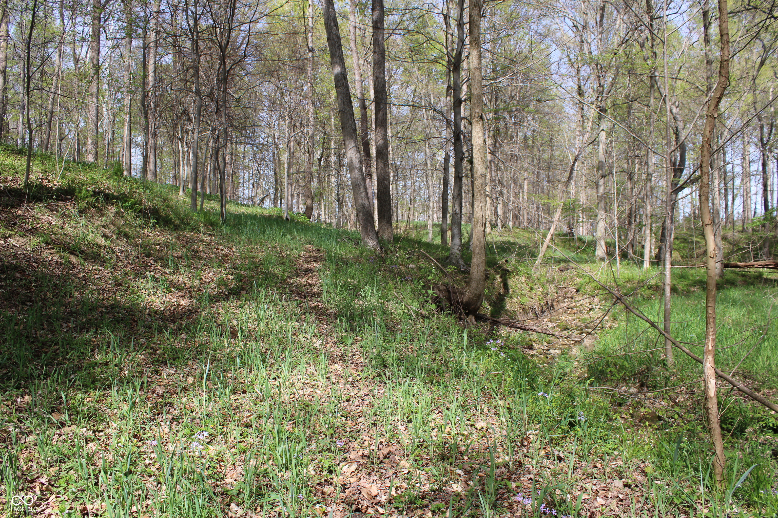 Tract E N County Road 225 W