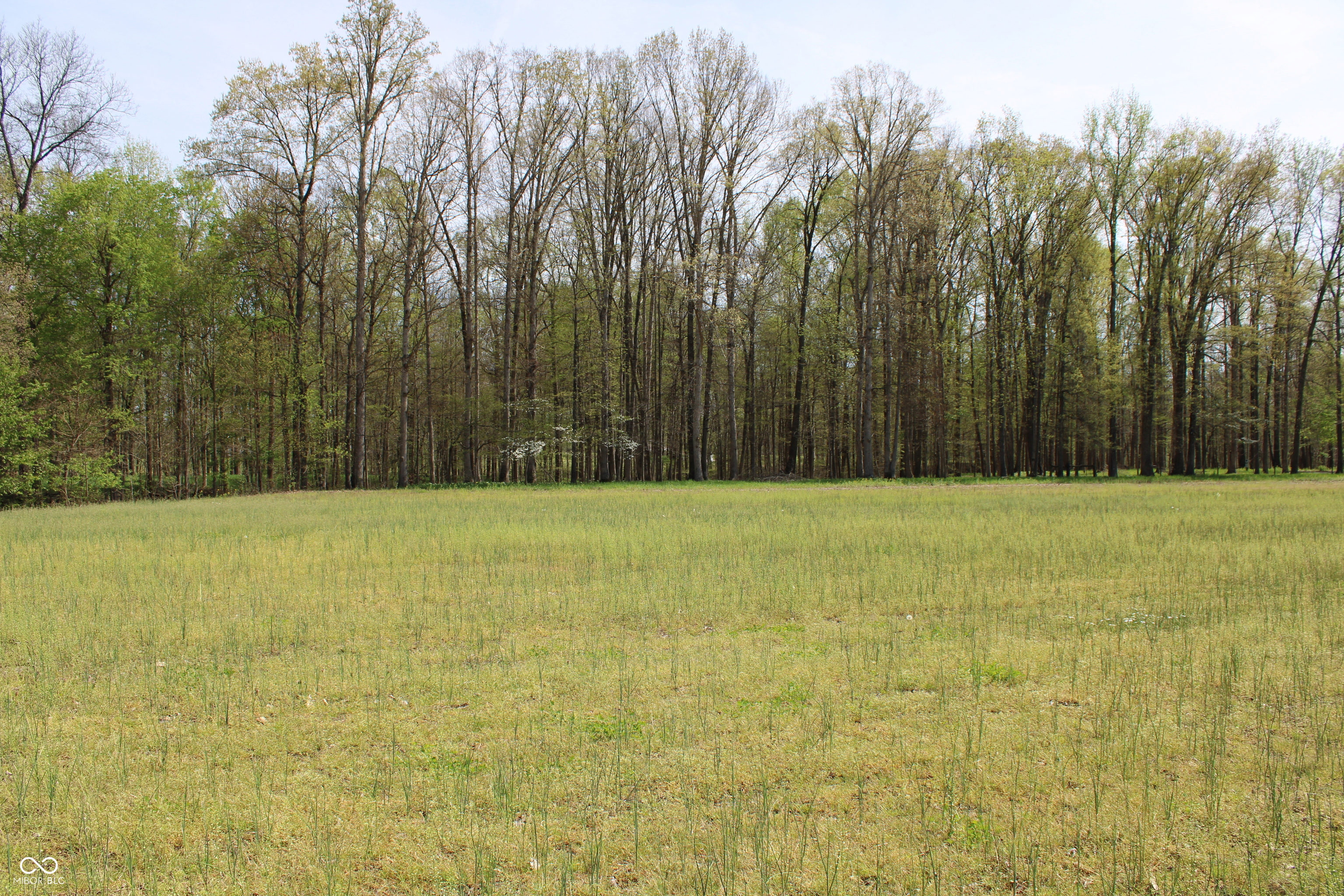 Tract E N County Road 225 W