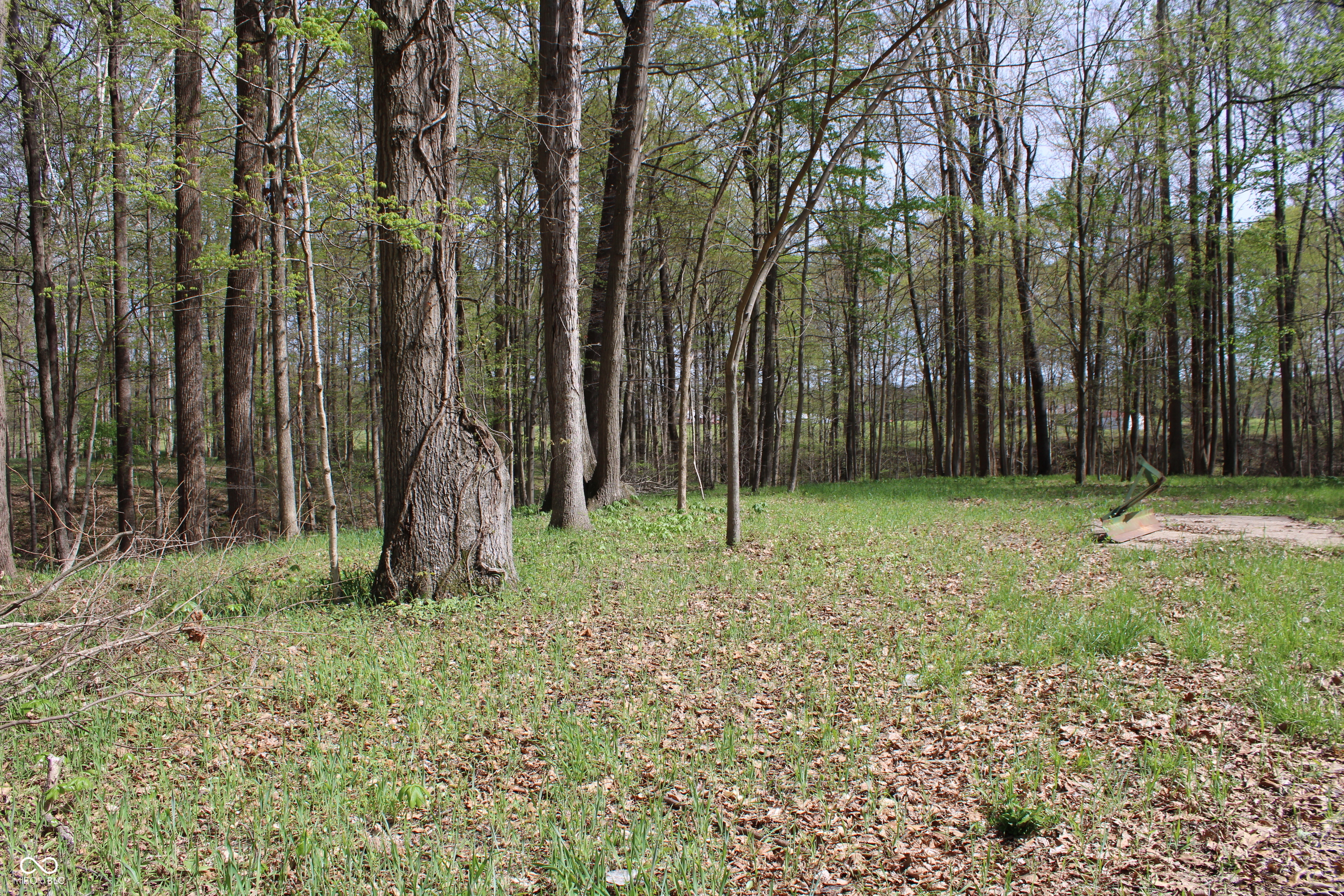 Tract E N County Road 225 W